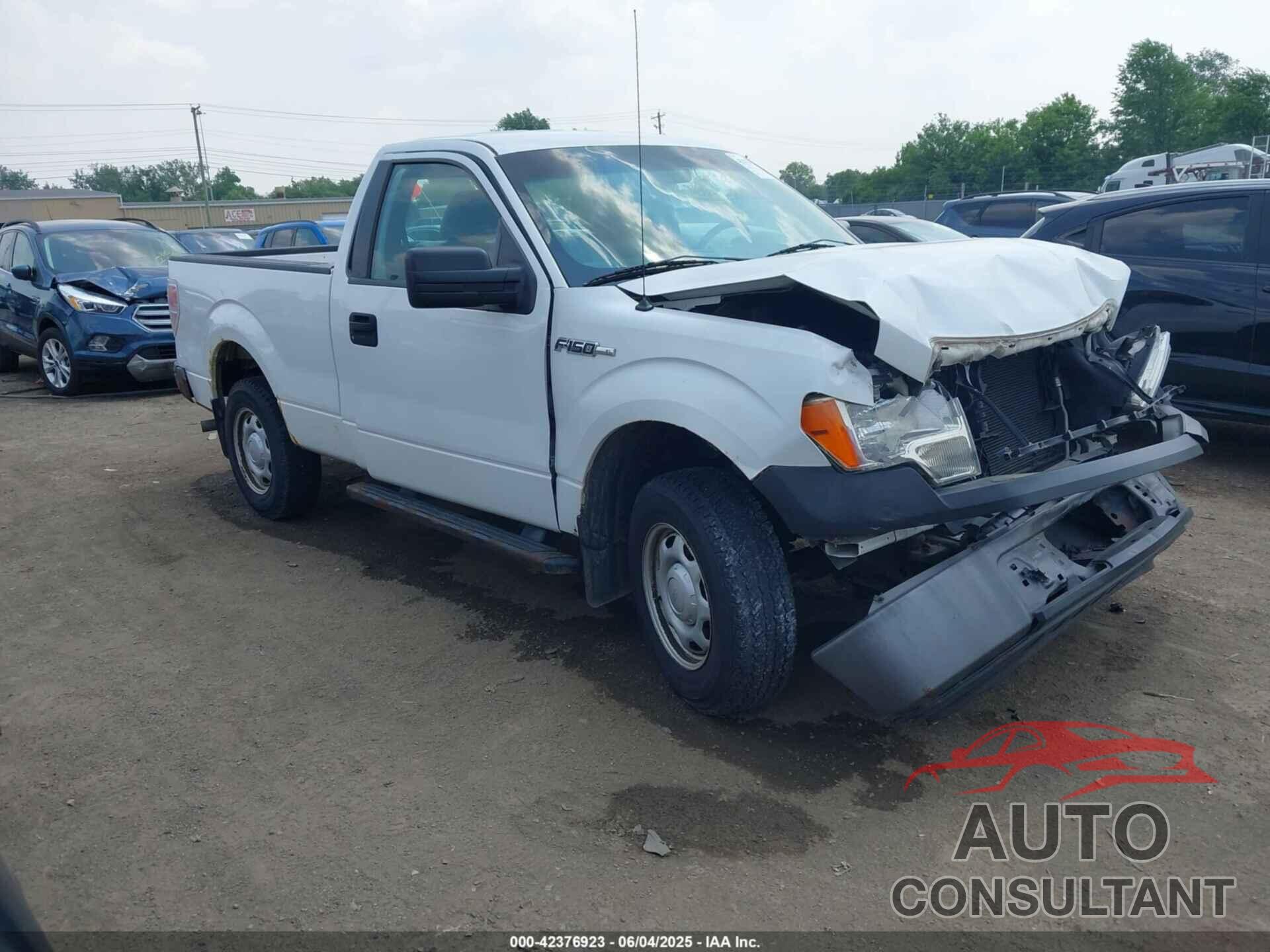 FORD F-150 2013 - 1FTMF1CM9DKD55134