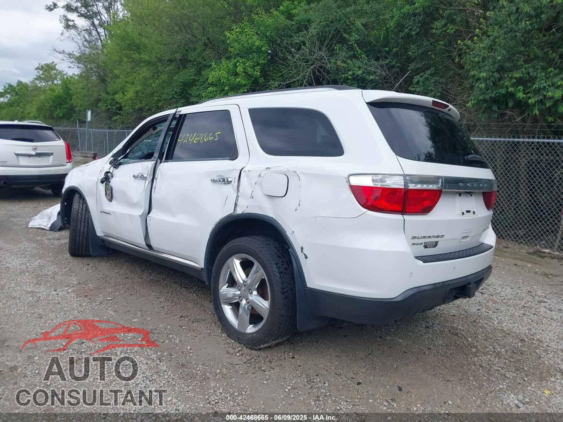 DODGE DURANGO 2013 - 1C4RDJEGXDC559700