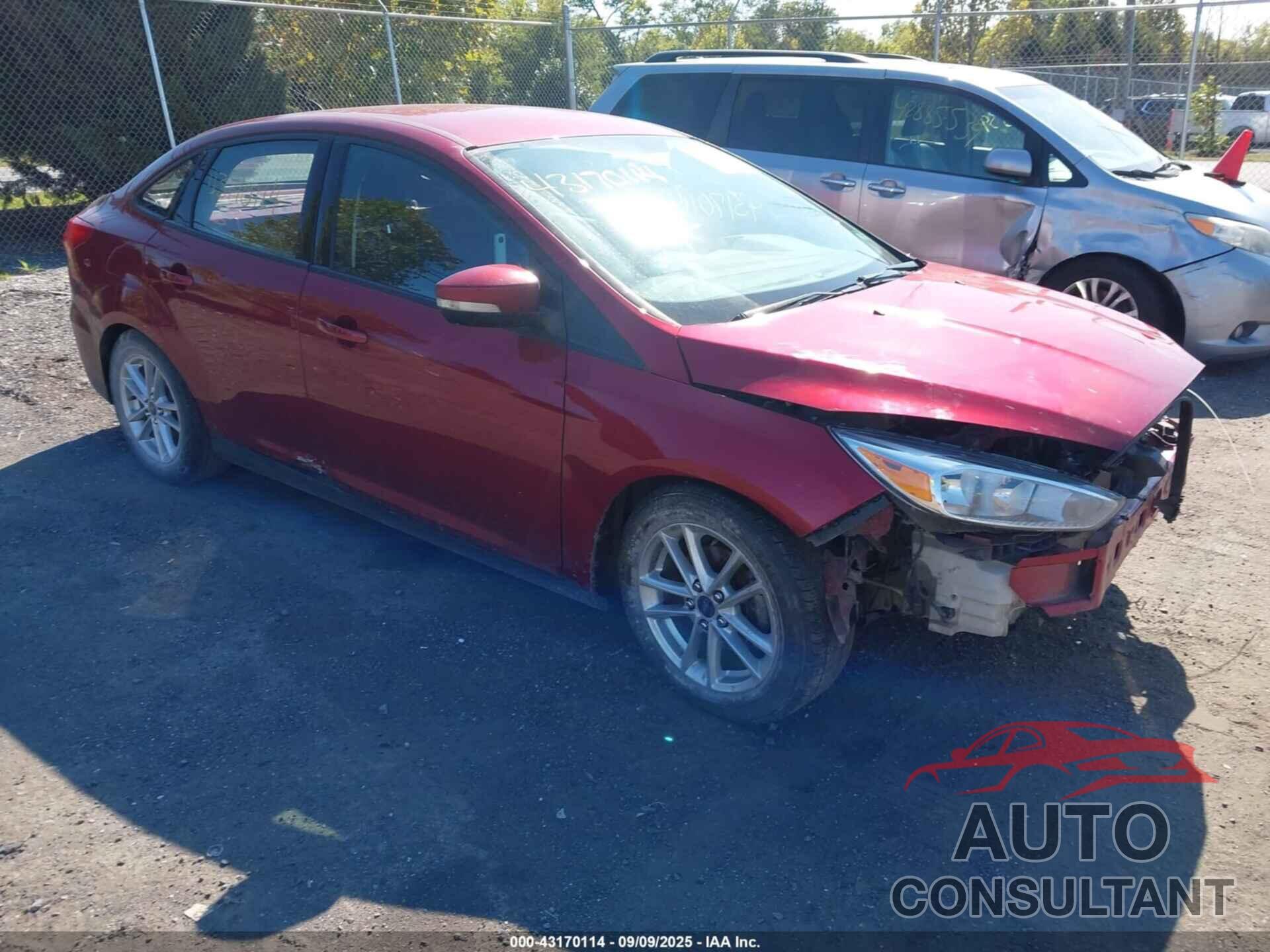 FORD FOCUS 2016 - 1FADP3F29GL336316