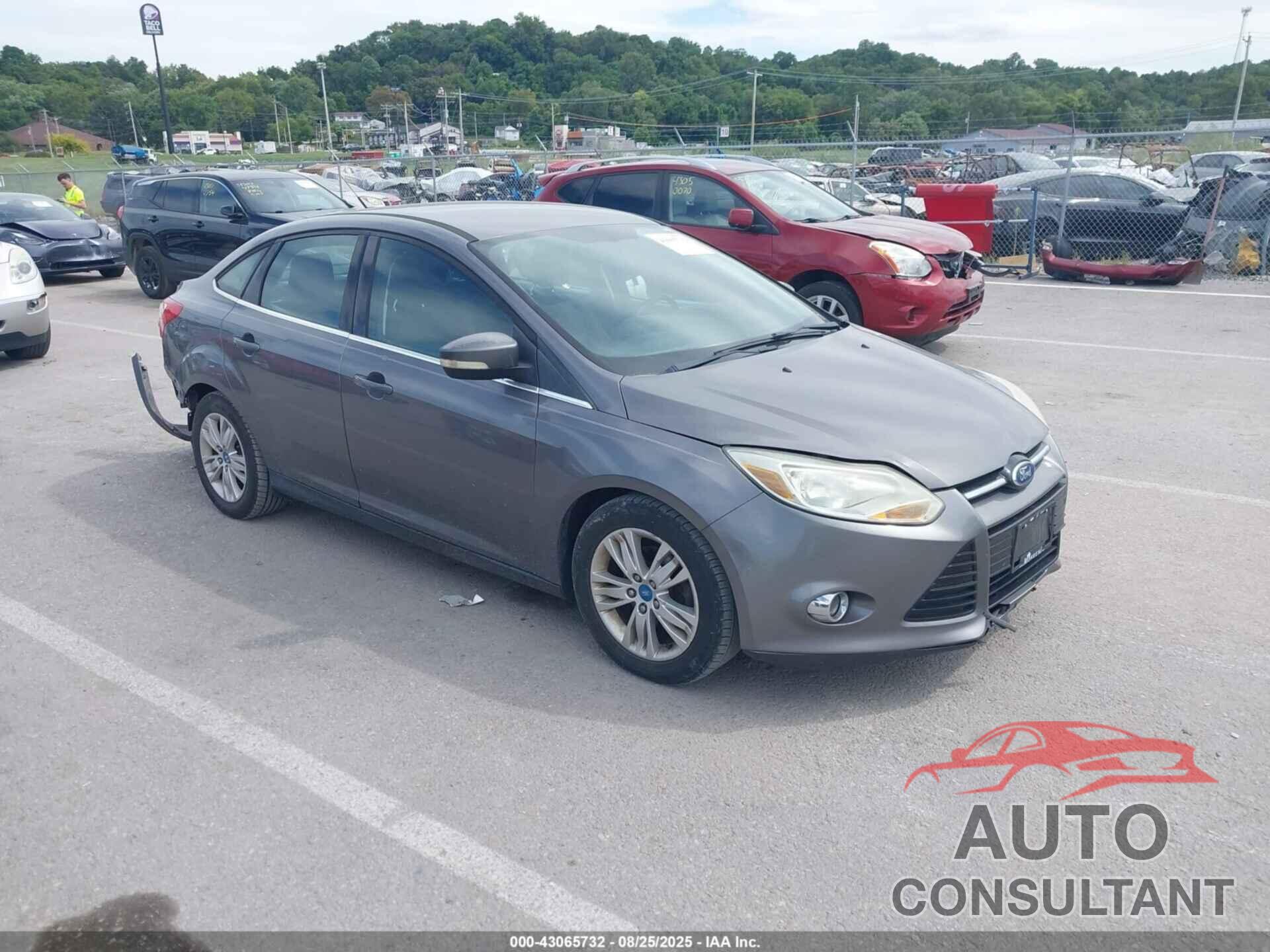 FORD FOCUS 2012 - 1FAHP3H24CL196412
