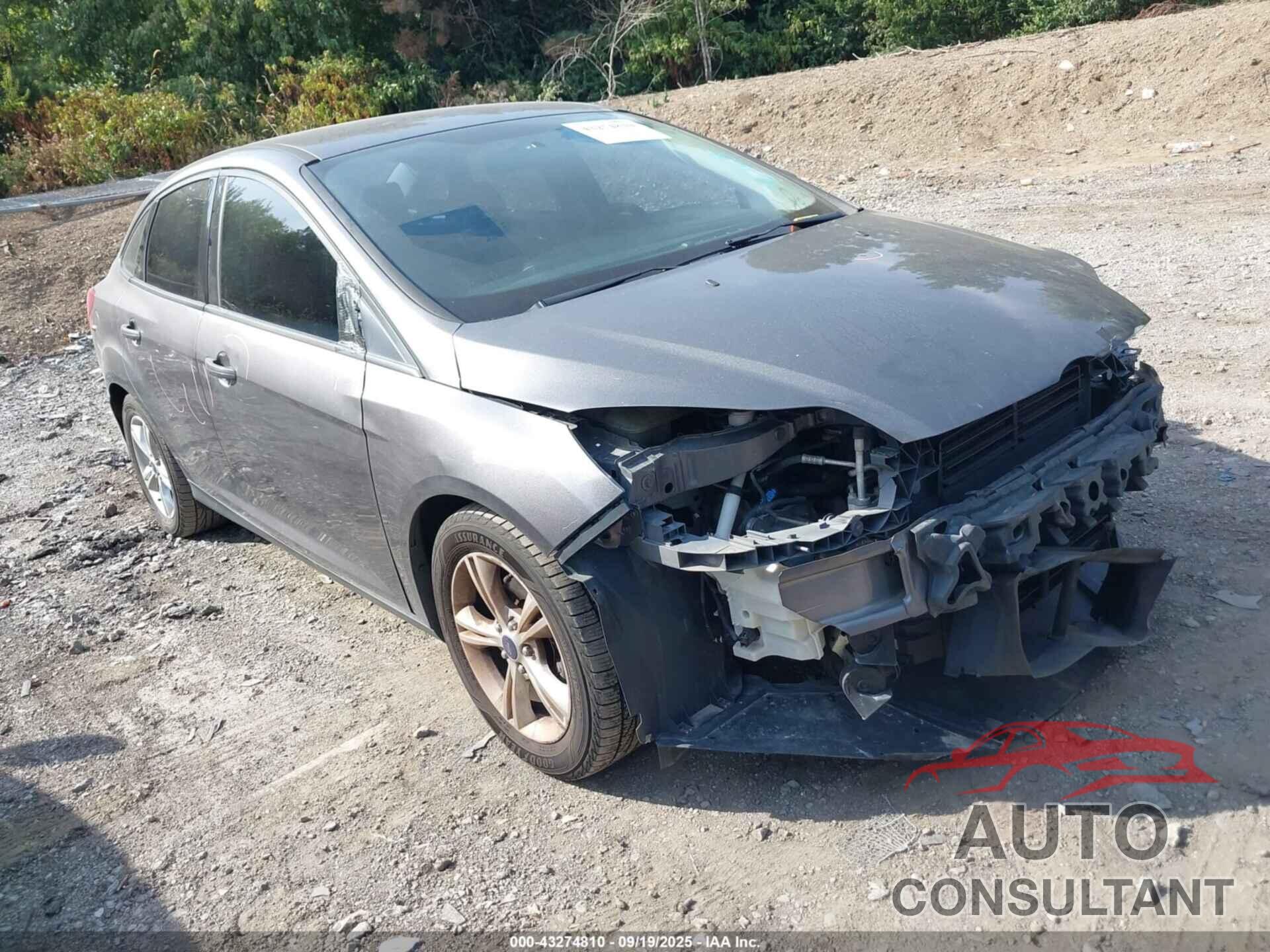FORD FOCUS 2013 - 1FADP3F2XDL289096