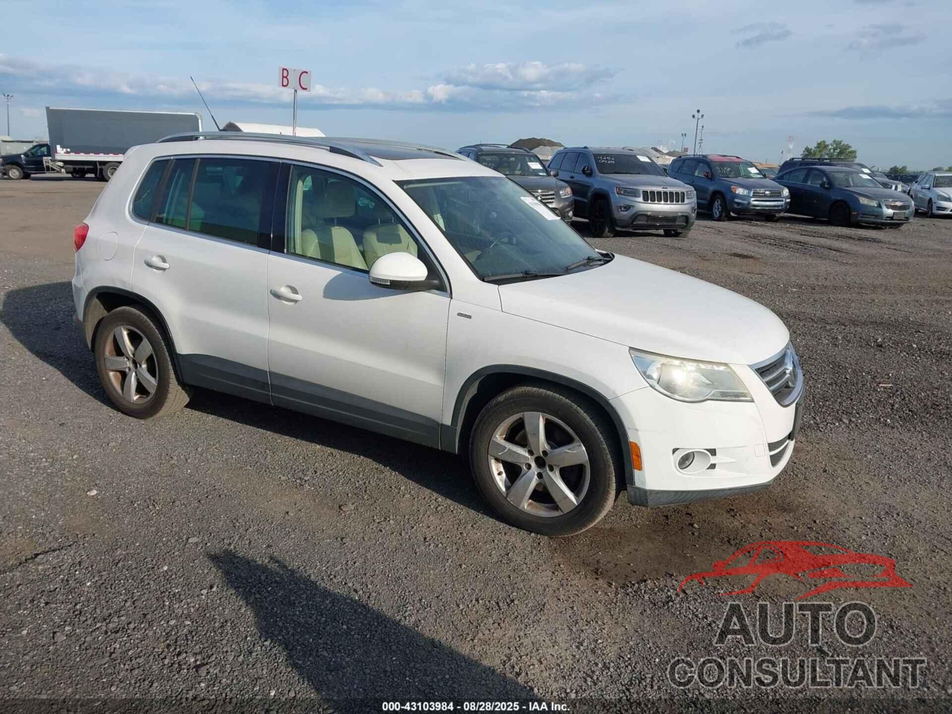 VOLKSWAGEN TIGUAN 2010 - WVGBV7AX6AW520244