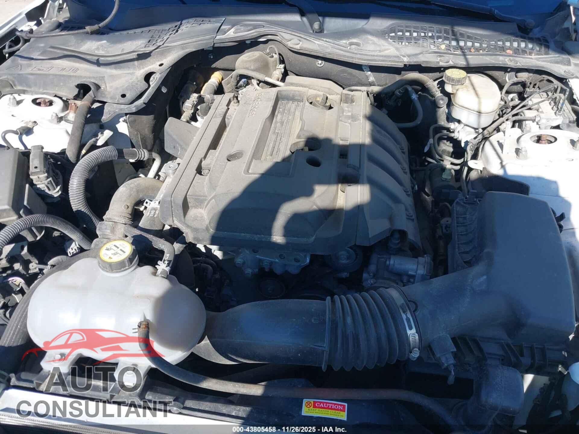 FORD MUSTANG 2020 - 1FA6P8TH7L5134894