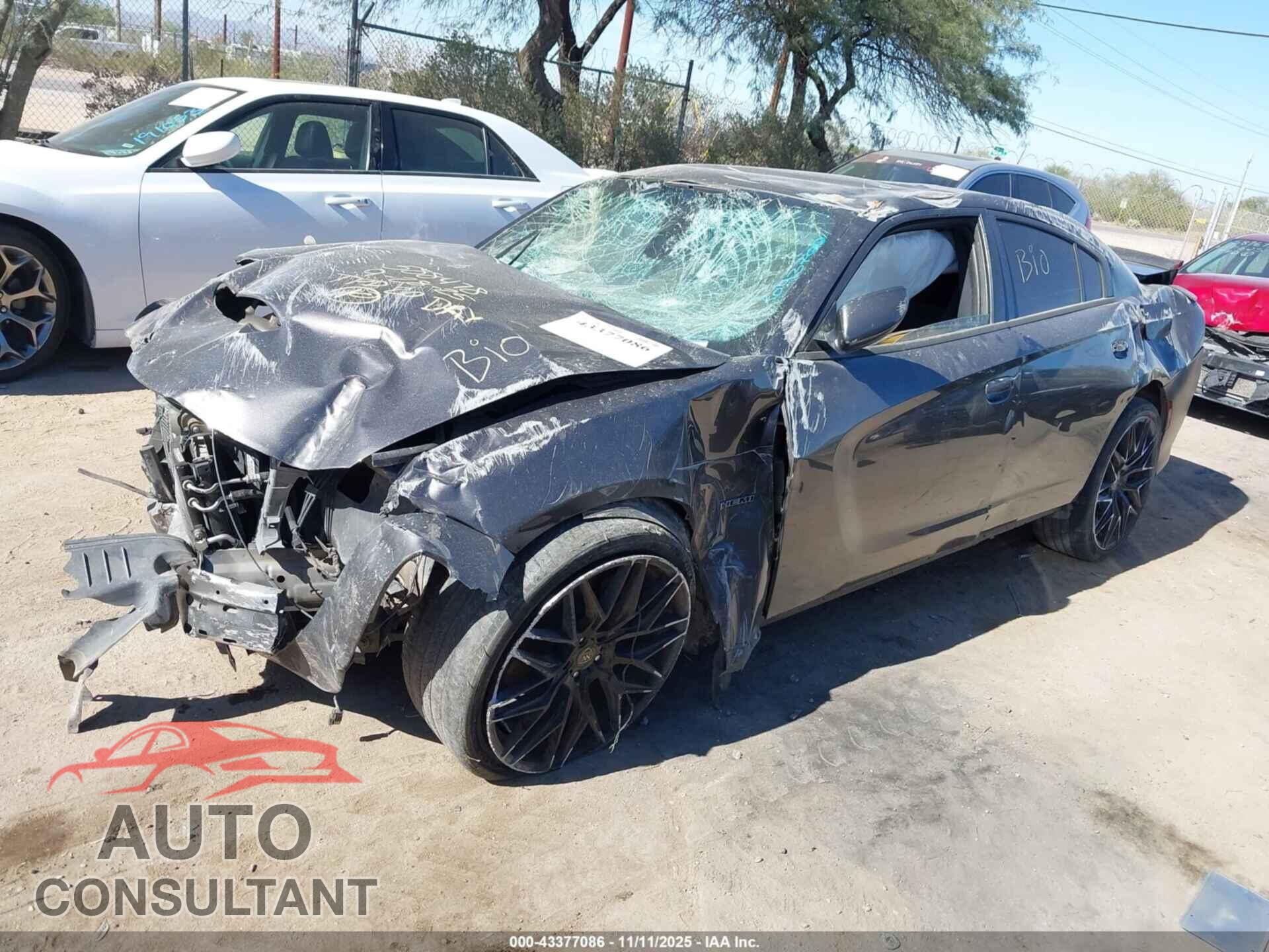 DODGE CHARGER 2017 - 2C3CDXCT3HH643700