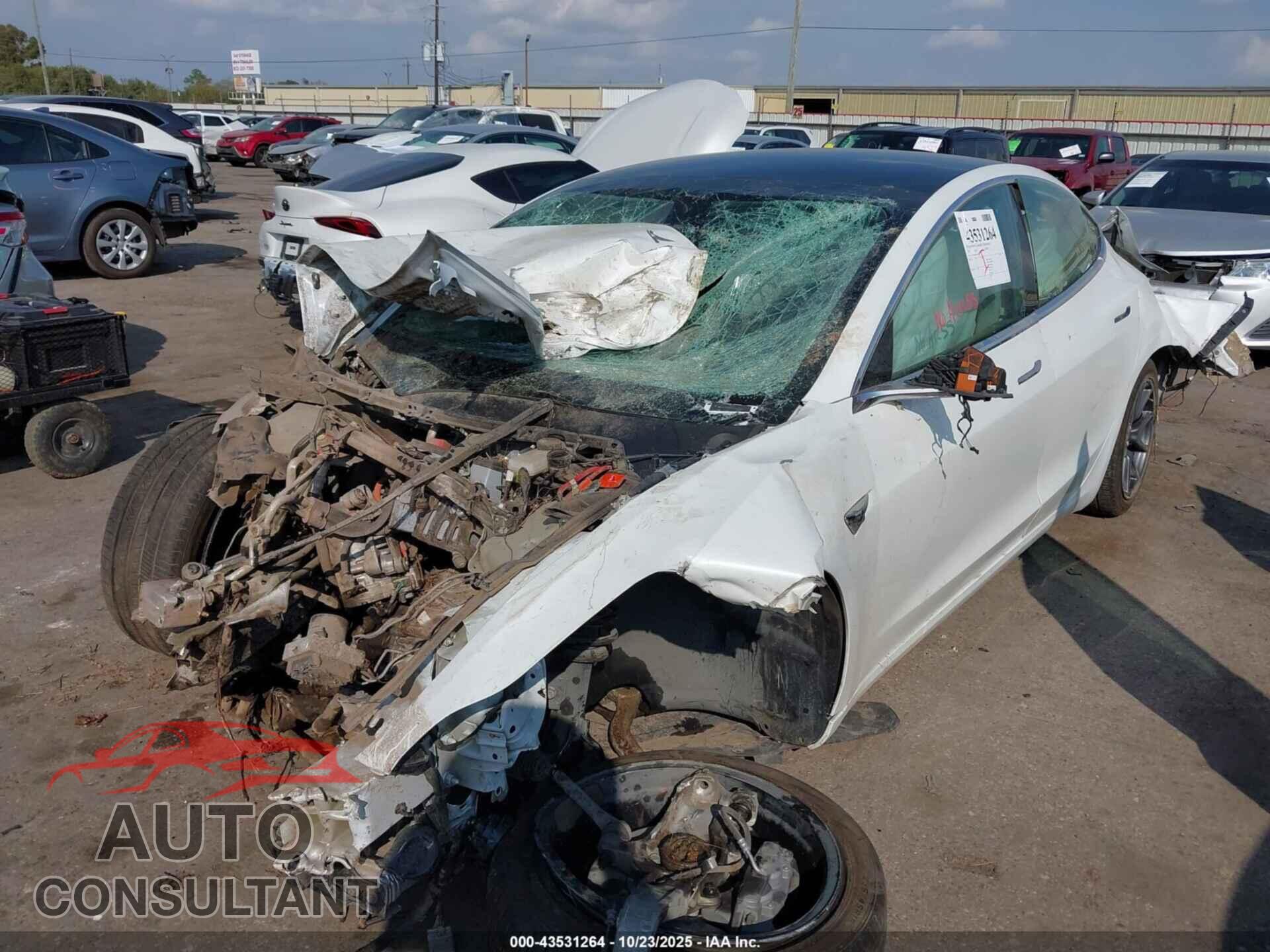 TESLA MODEL 3 2019 - 5YJ3E1EB3KF437252