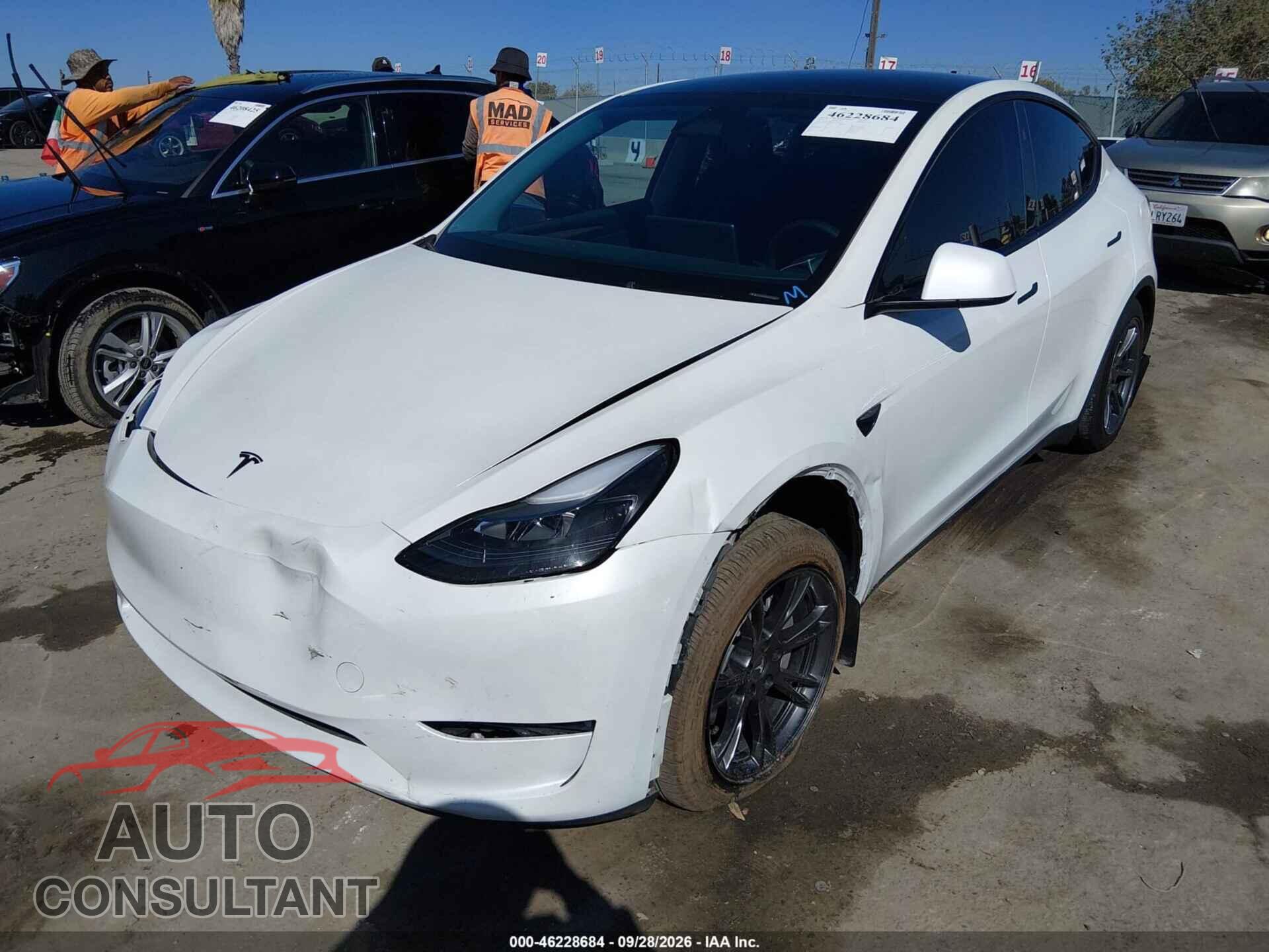 TESLA MODEL Y 2024 - 7SAYGDED5RF170650