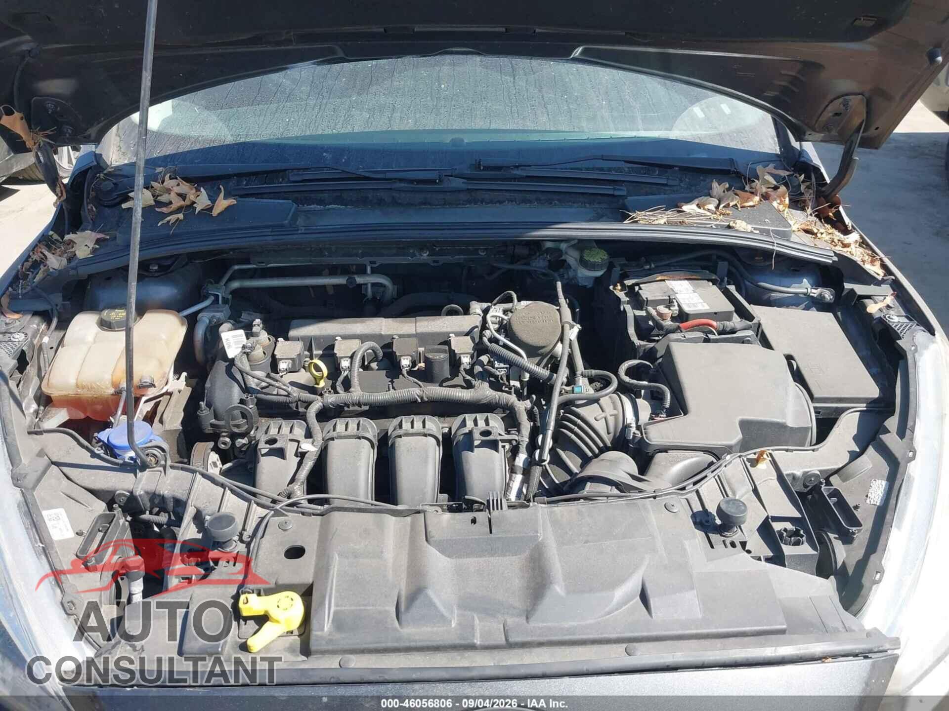FORD FOCUS 2016 - 1FADP3F23GL309788