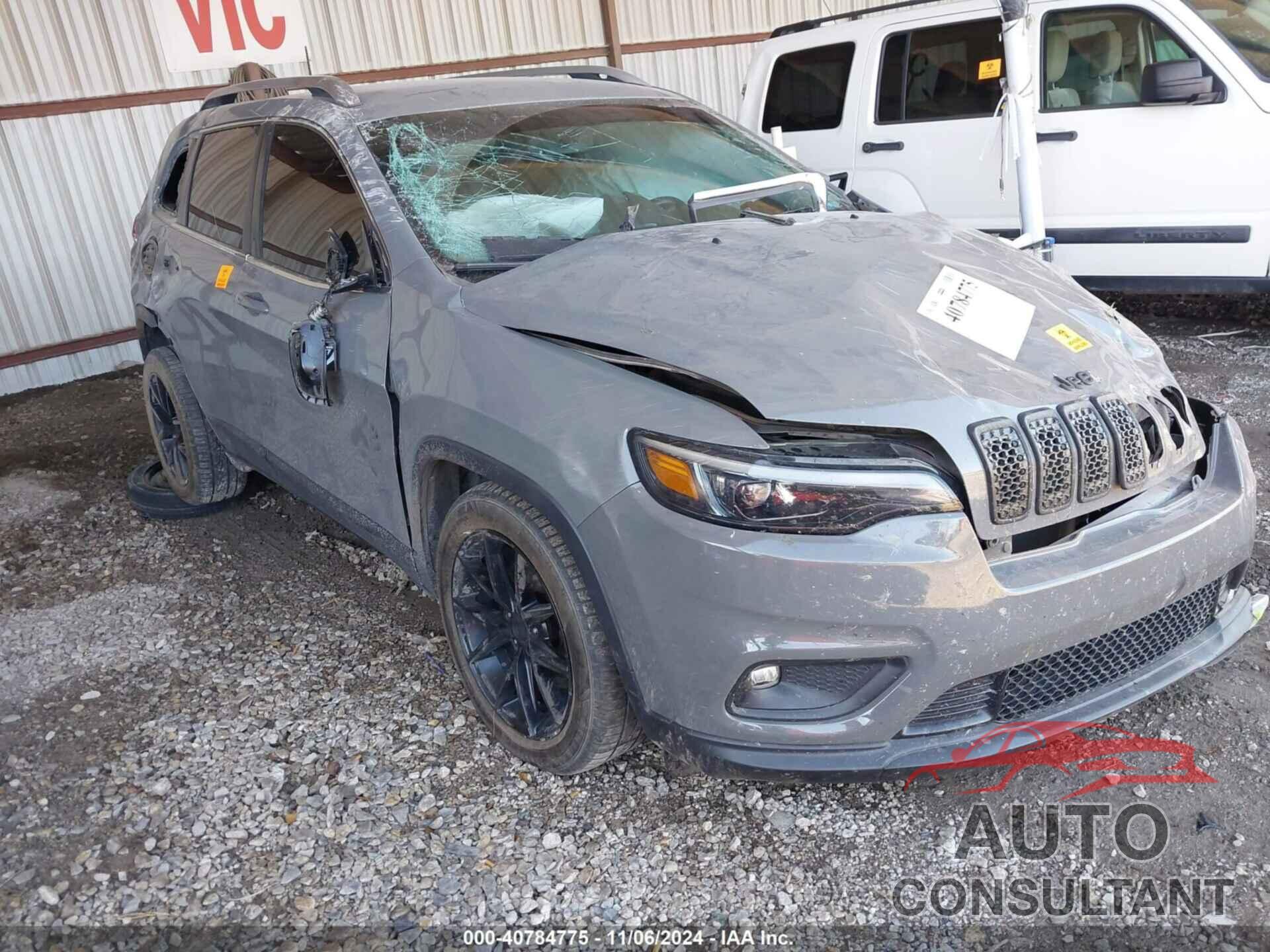 JEEP CHEROKEE 2020 - 1C4PJLLB1LD561220