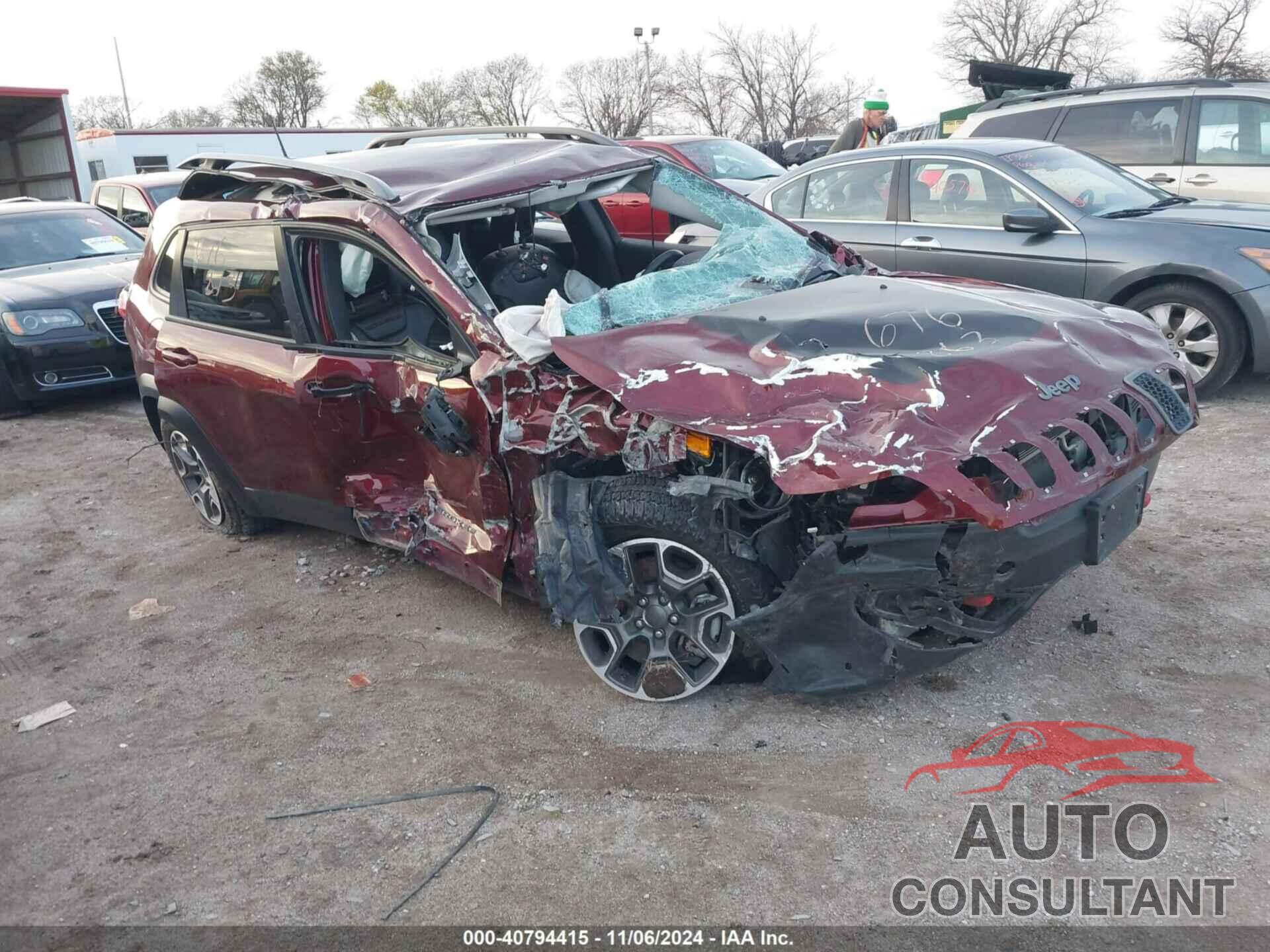 JEEP CHEROKEE 2020 - 1C4PJMBX3LD566342
