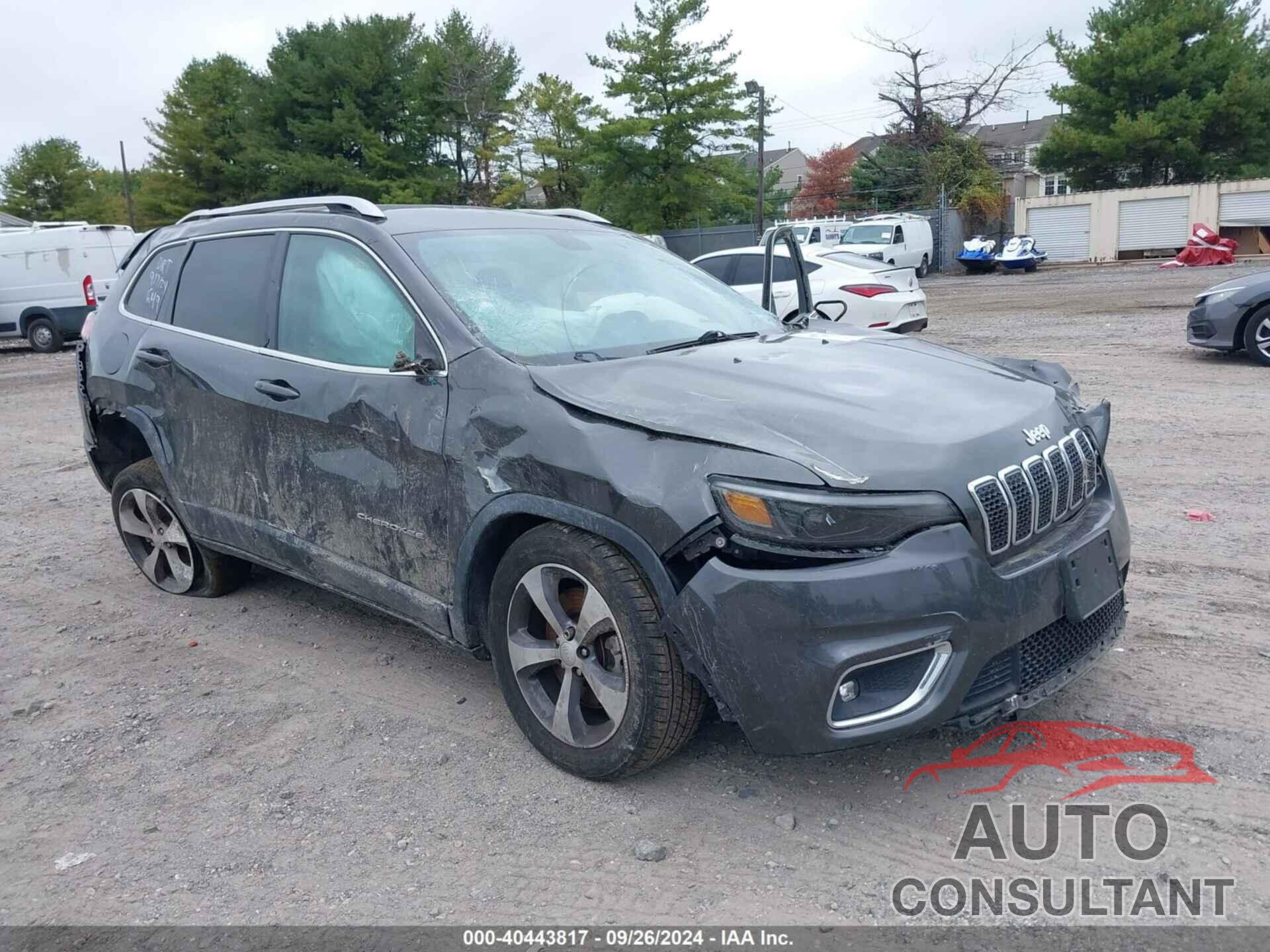 JEEP CHEROKEE 2019 - 1C4PJLDB0KD433760