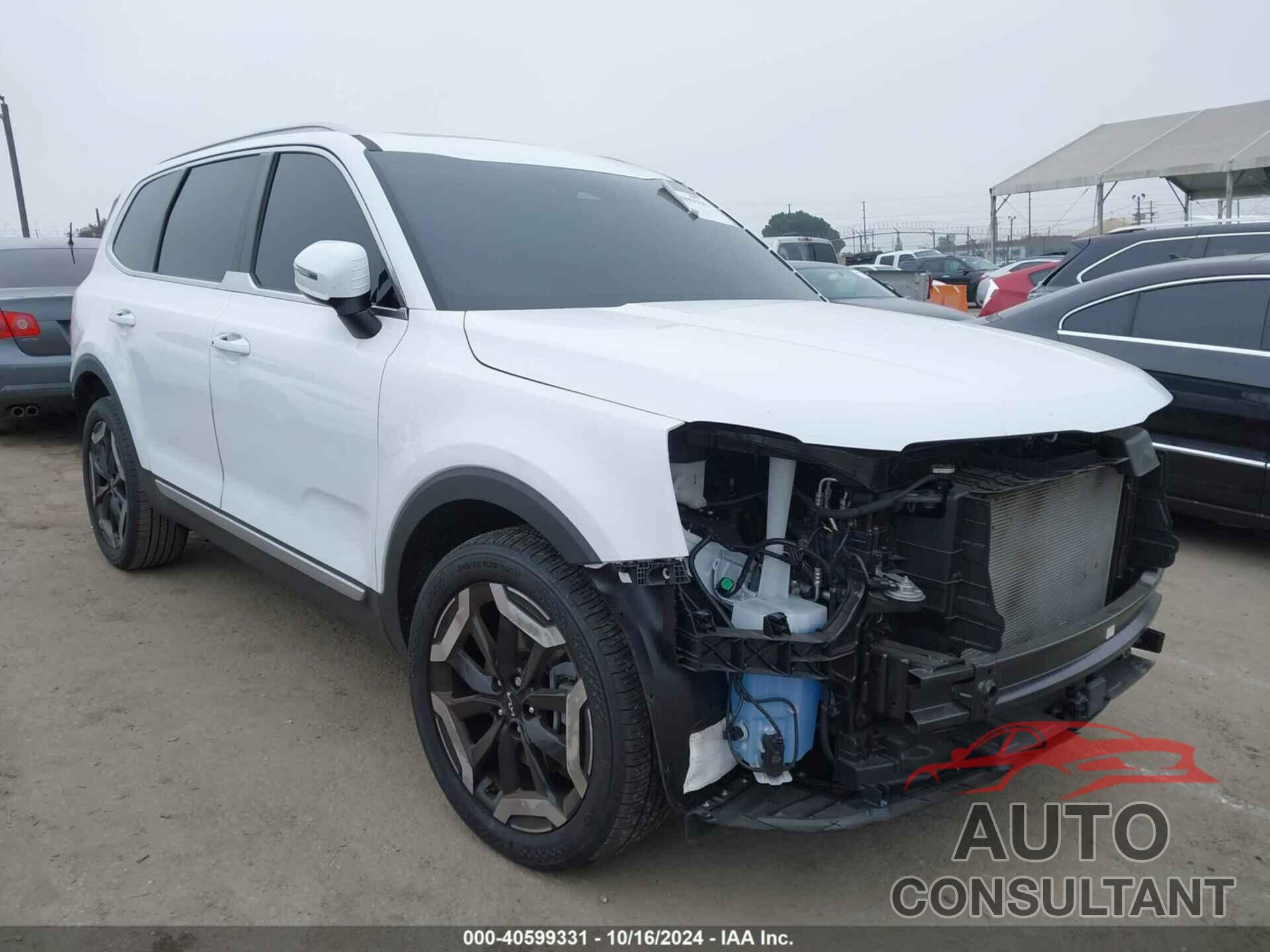 KIA TELLURIDE 2024 - 5XYP64GC6RG481822