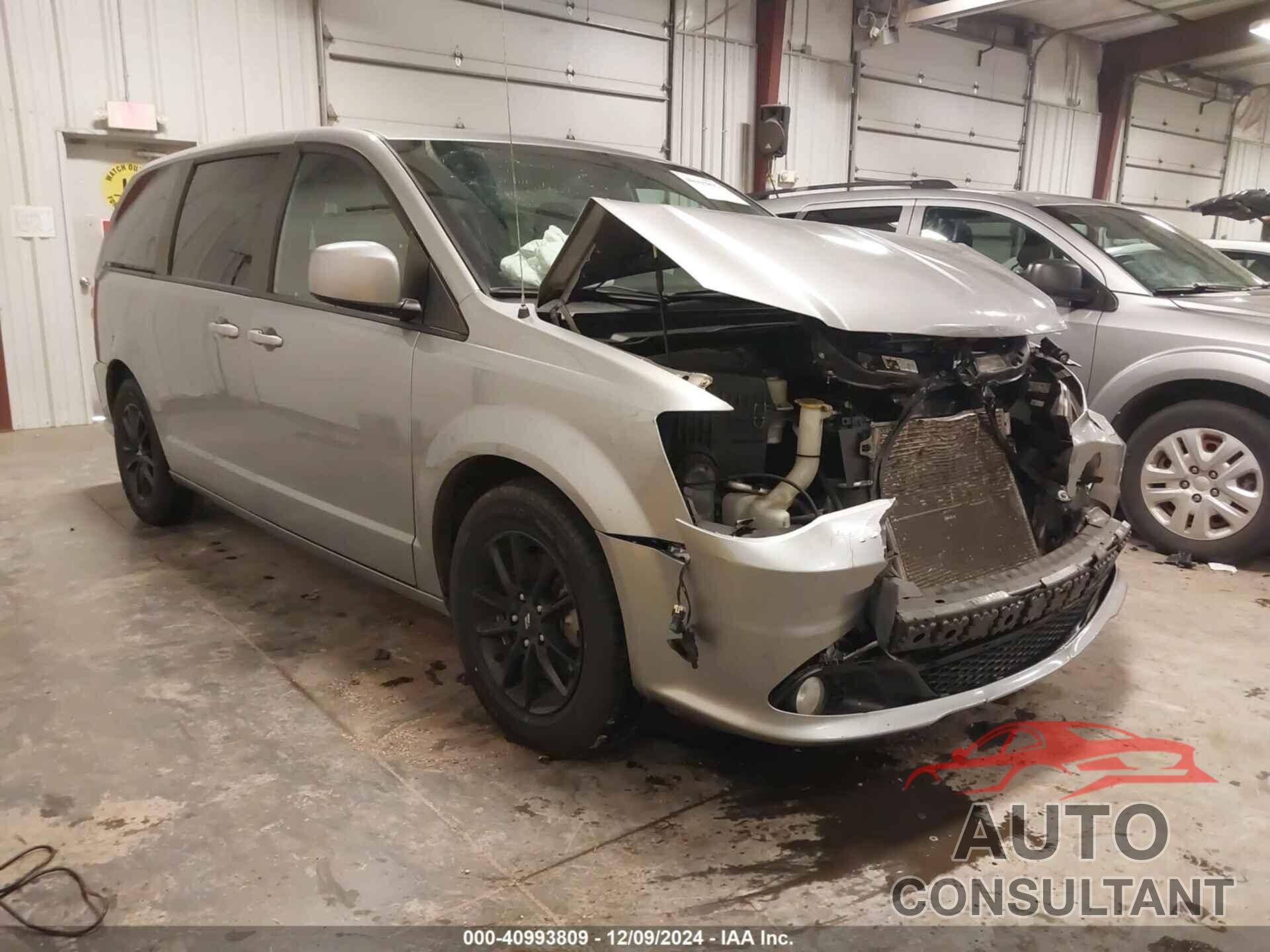 DODGE GRAND CARAVAN 2019 - 2C4RDGEG7KR764415