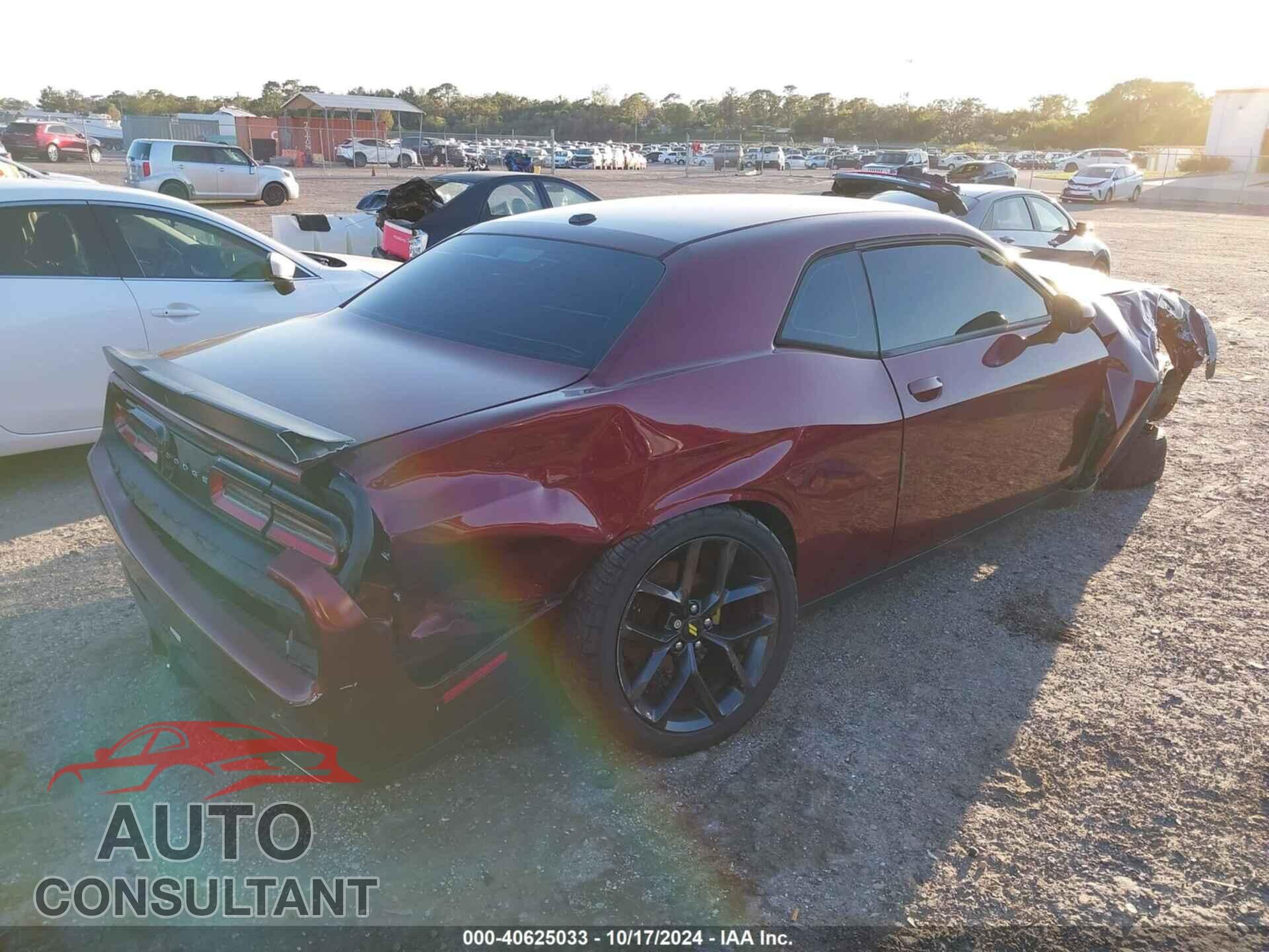 DODGE CHALLENGER 2019 - 2C3CDZAG9KH566713
