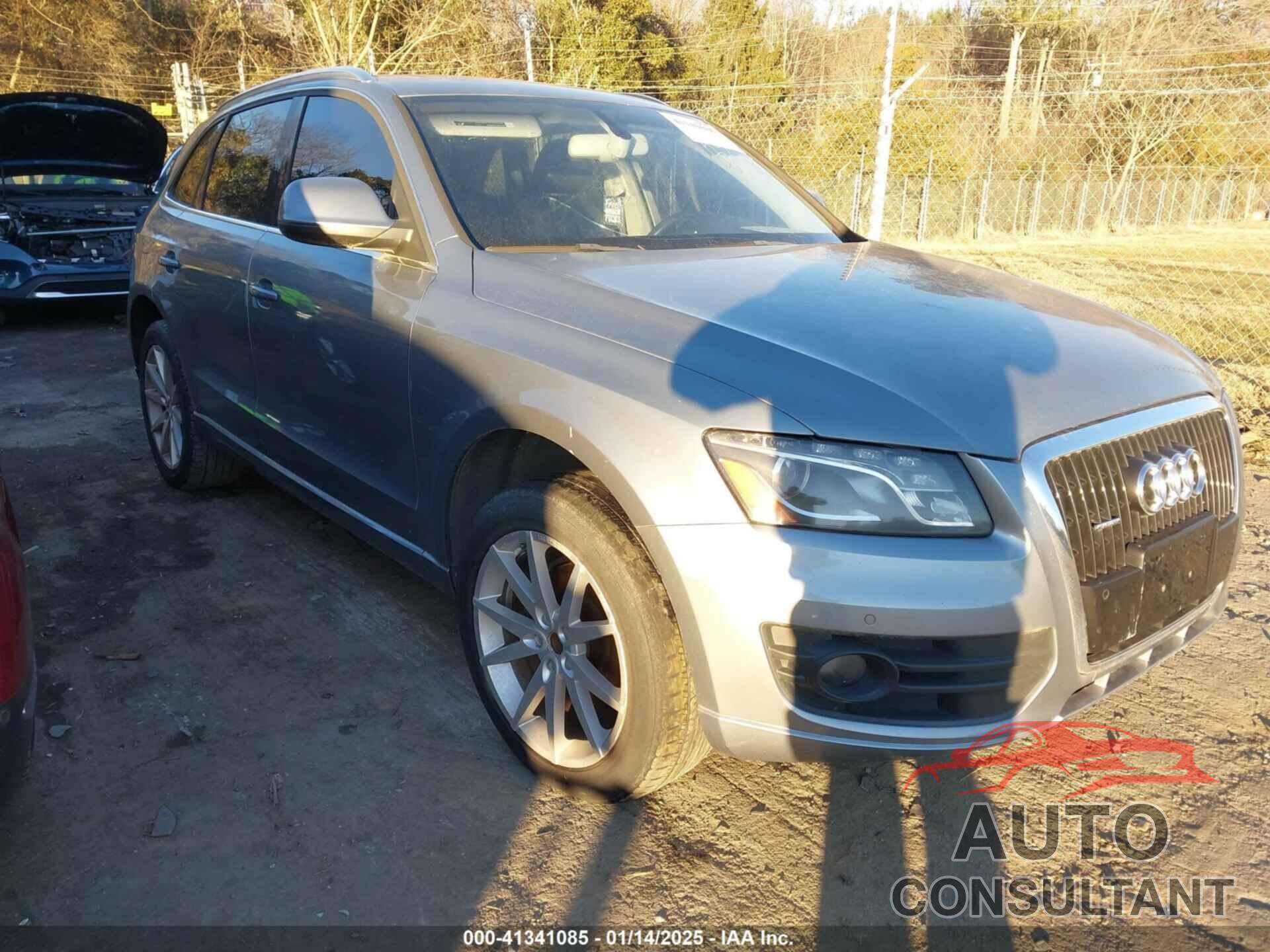 AUDI Q5 2010 - WA1LKAFP1AA081064