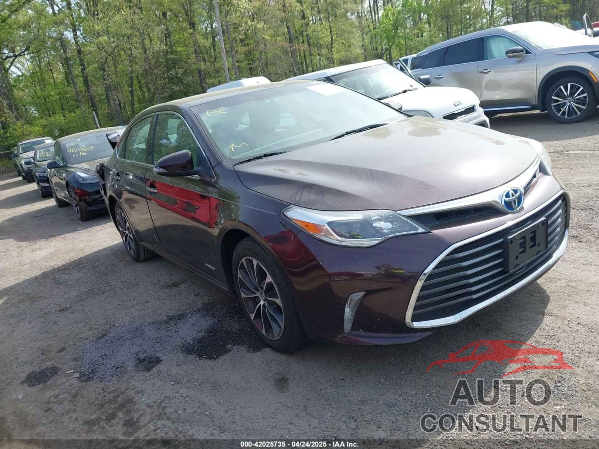 TOYOTA AVALON HYBRID 2016 - 4T1BD1EB9GU049581
