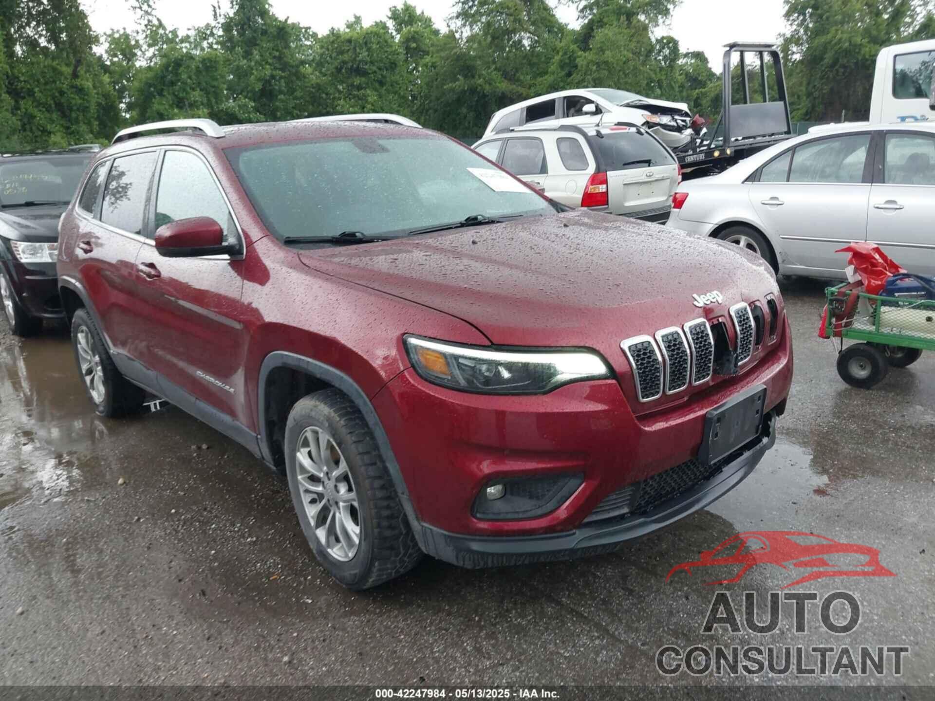 JEEP CHEROKEE 2019 - 1C4PJMLB7KD118123