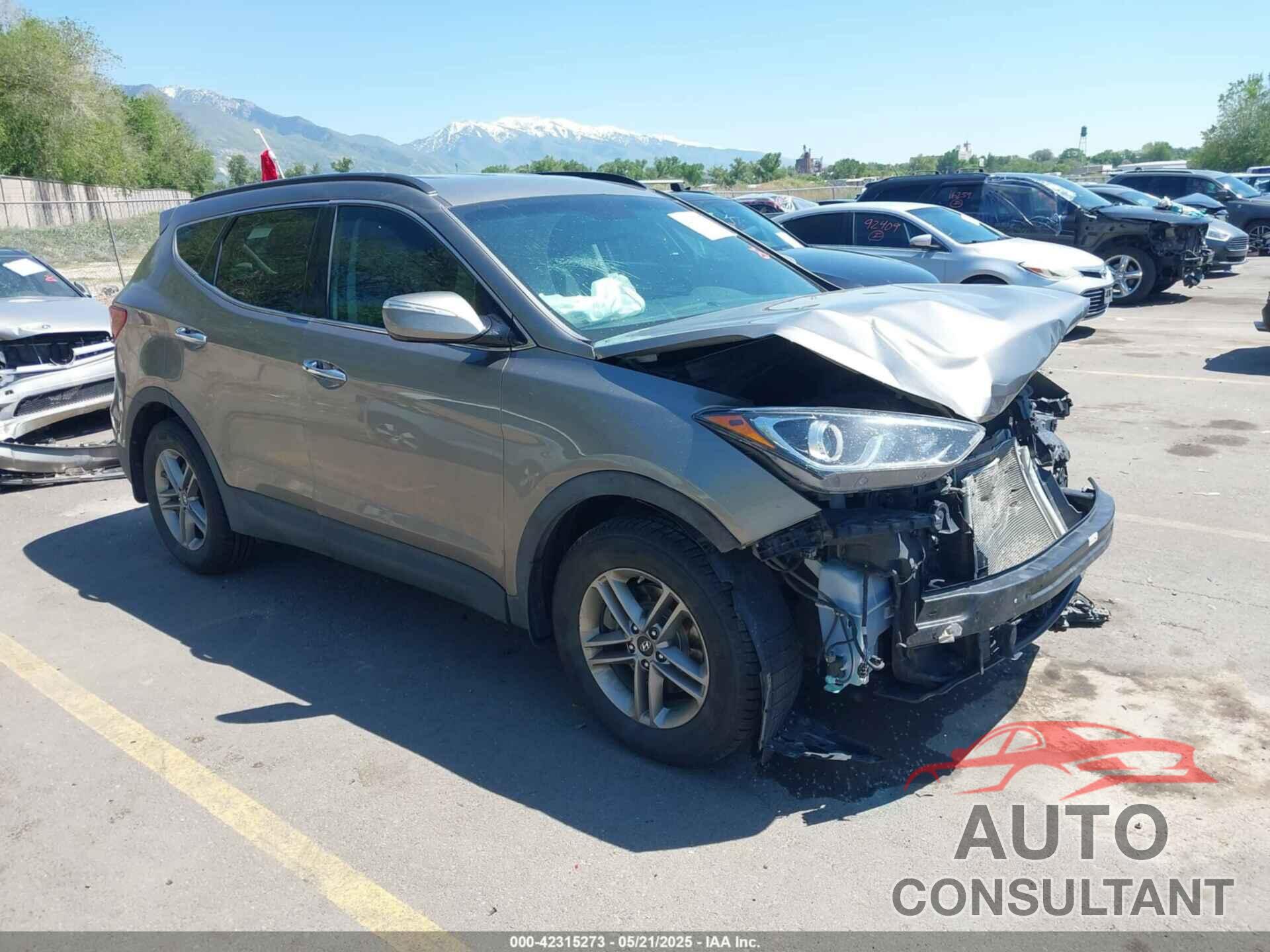 HYUNDAI SANTA FE SPORT 2017 - 5NMZUDLB3HH047664