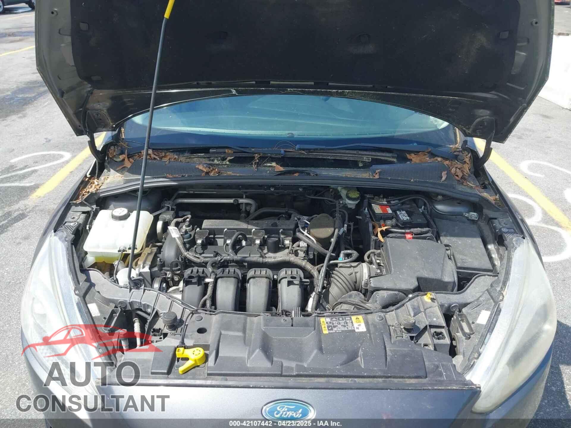 FORD FOCUS 2016 - 1FADP3F26GL207417