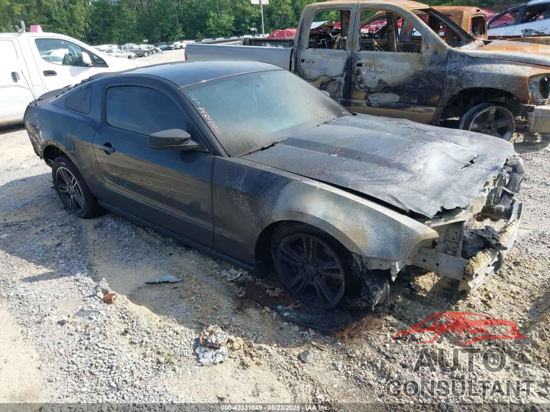 FORD MUSTANG 2010 - 1ZVBP8AN4A5170022