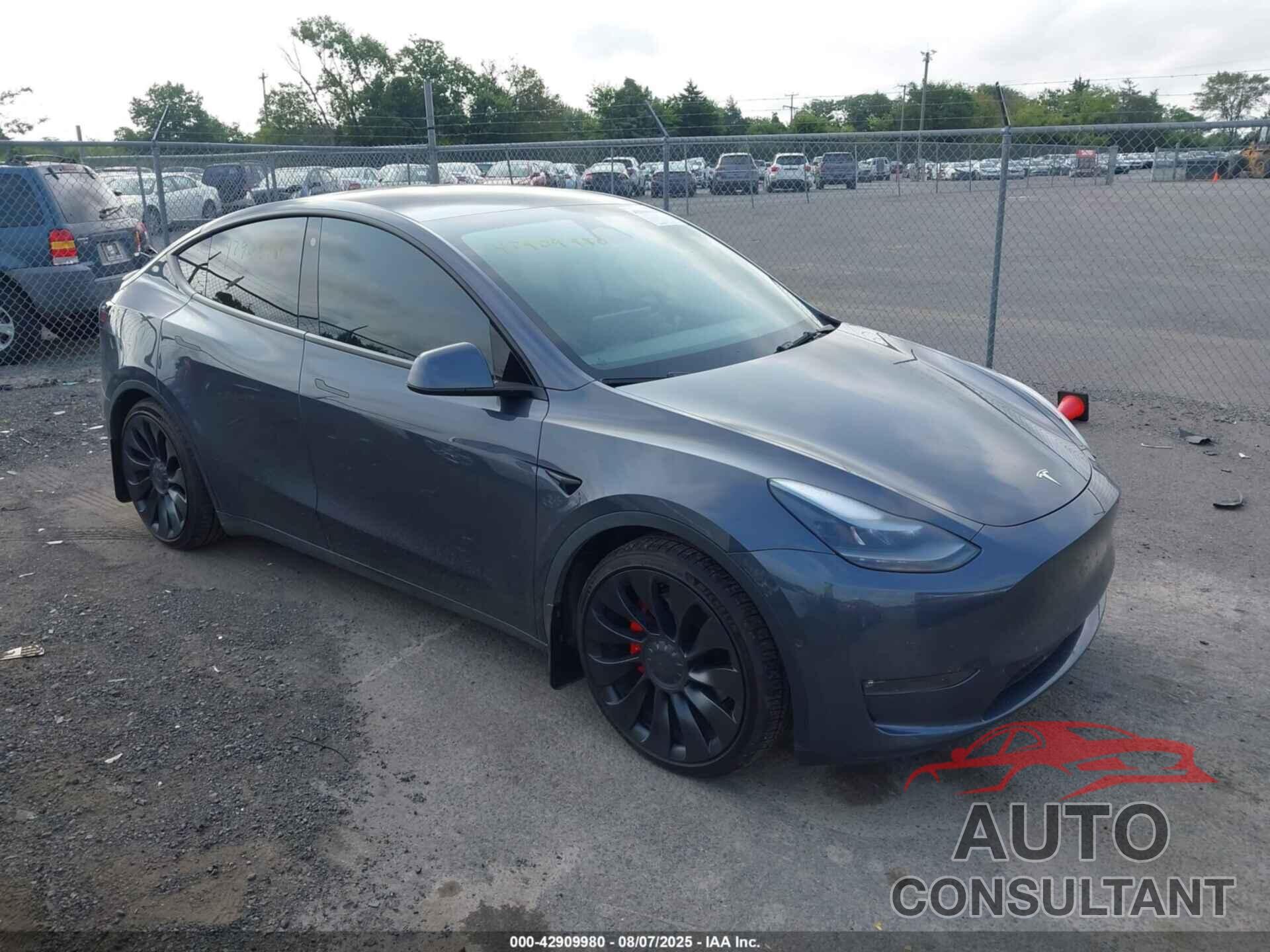 TESLA MODEL Y 2022 - 7SAYGDEF8NF511700