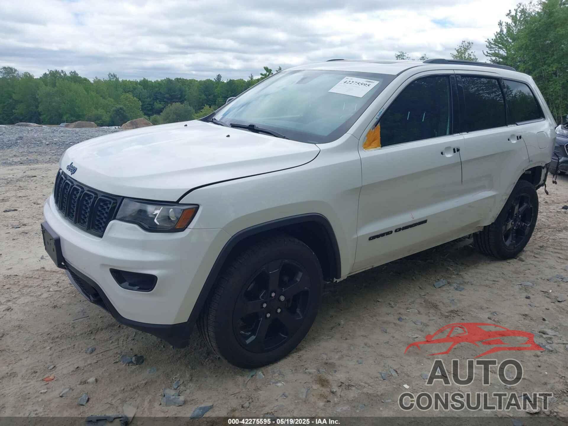 JEEP GRAND CHEROKEE 2019 - 1C4RJFAG8KC620471