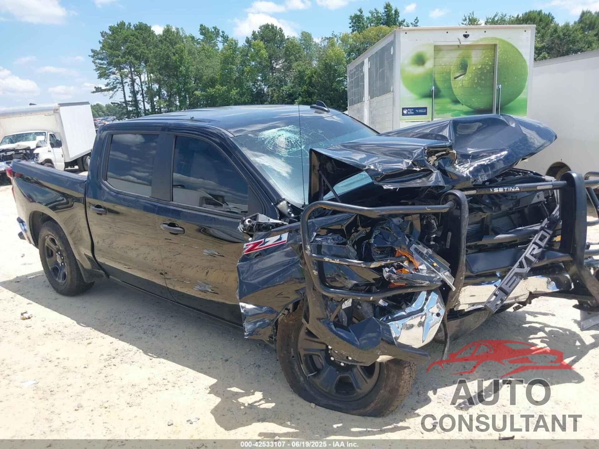 CHEVROLET SILVERADO 1500 2024 - 3GCUD4ED0RG412033