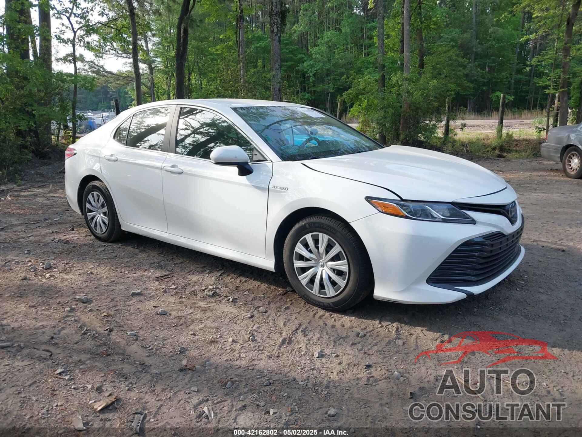 TOYOTA CAMRY HYBRID 2019 - 4T1B31HK4KU005351