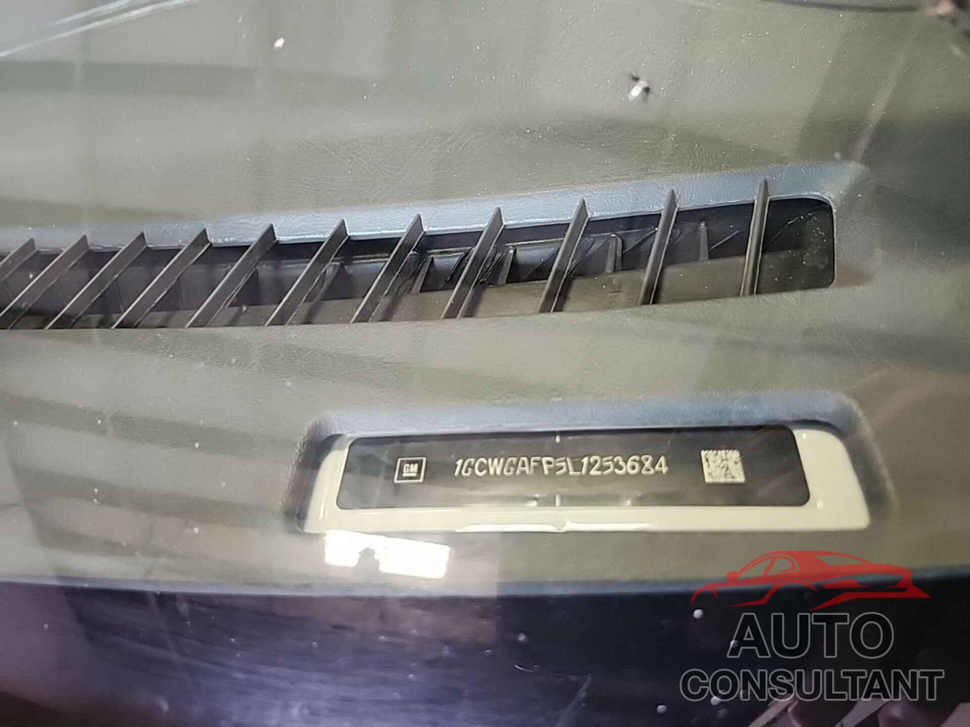 CHEVROLET EXPRESS CARGO 2020 - 1GCWGAFP5L1253684
