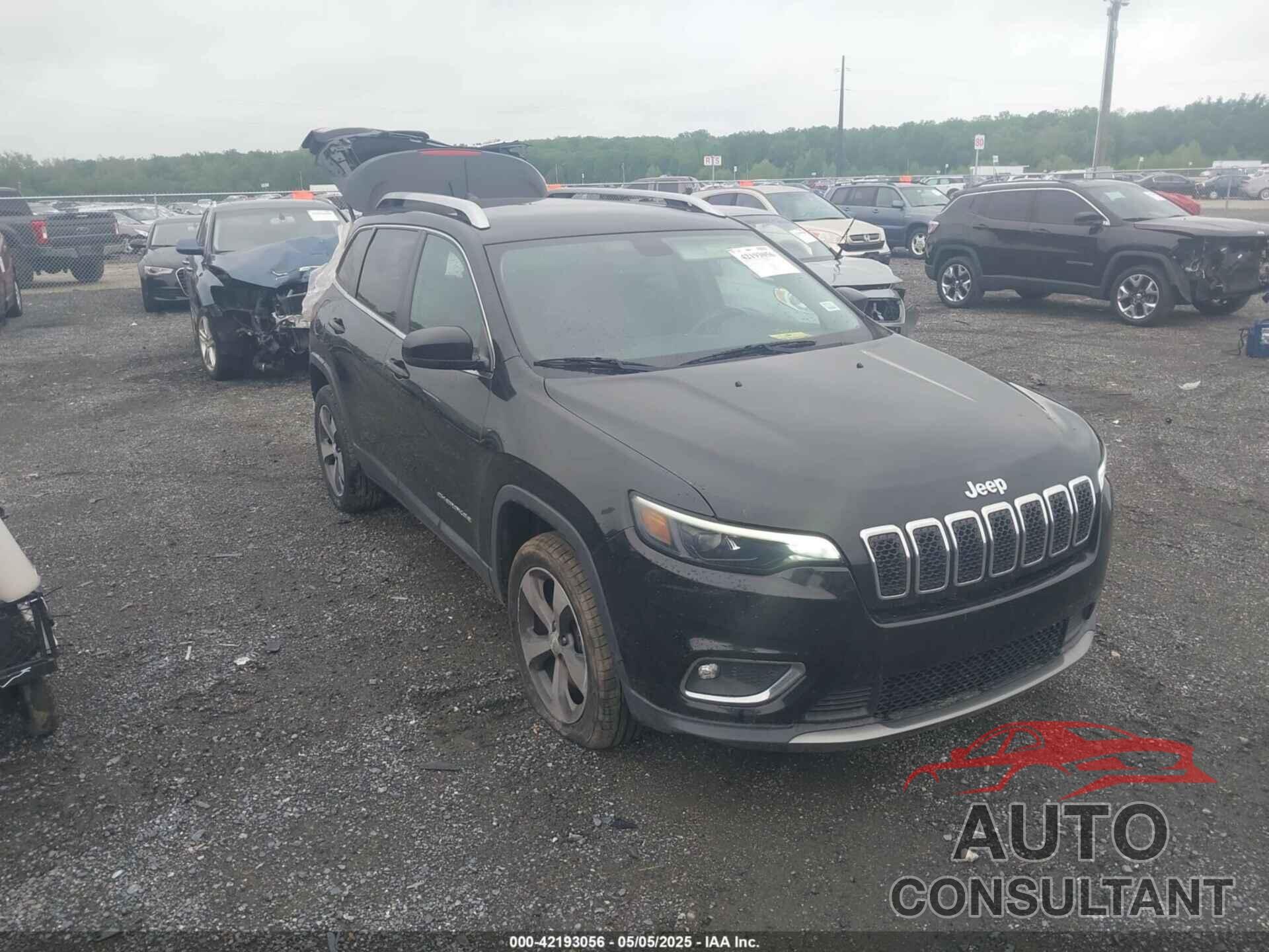 JEEP CHEROKEE 2019 - 1C4PJLDB8KD387272