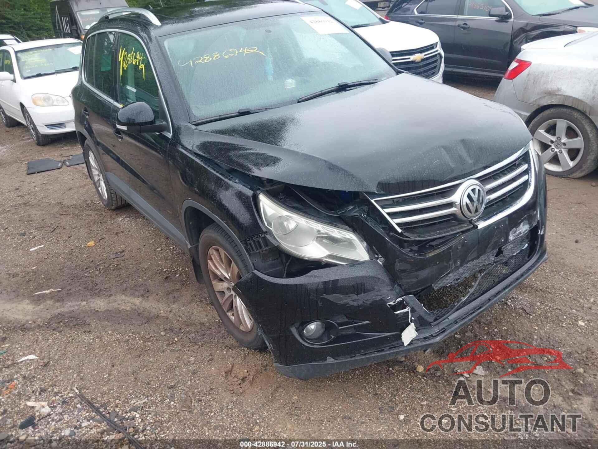 VOLKSWAGEN TIGUAN 2009 - WVGAV75N09W527223