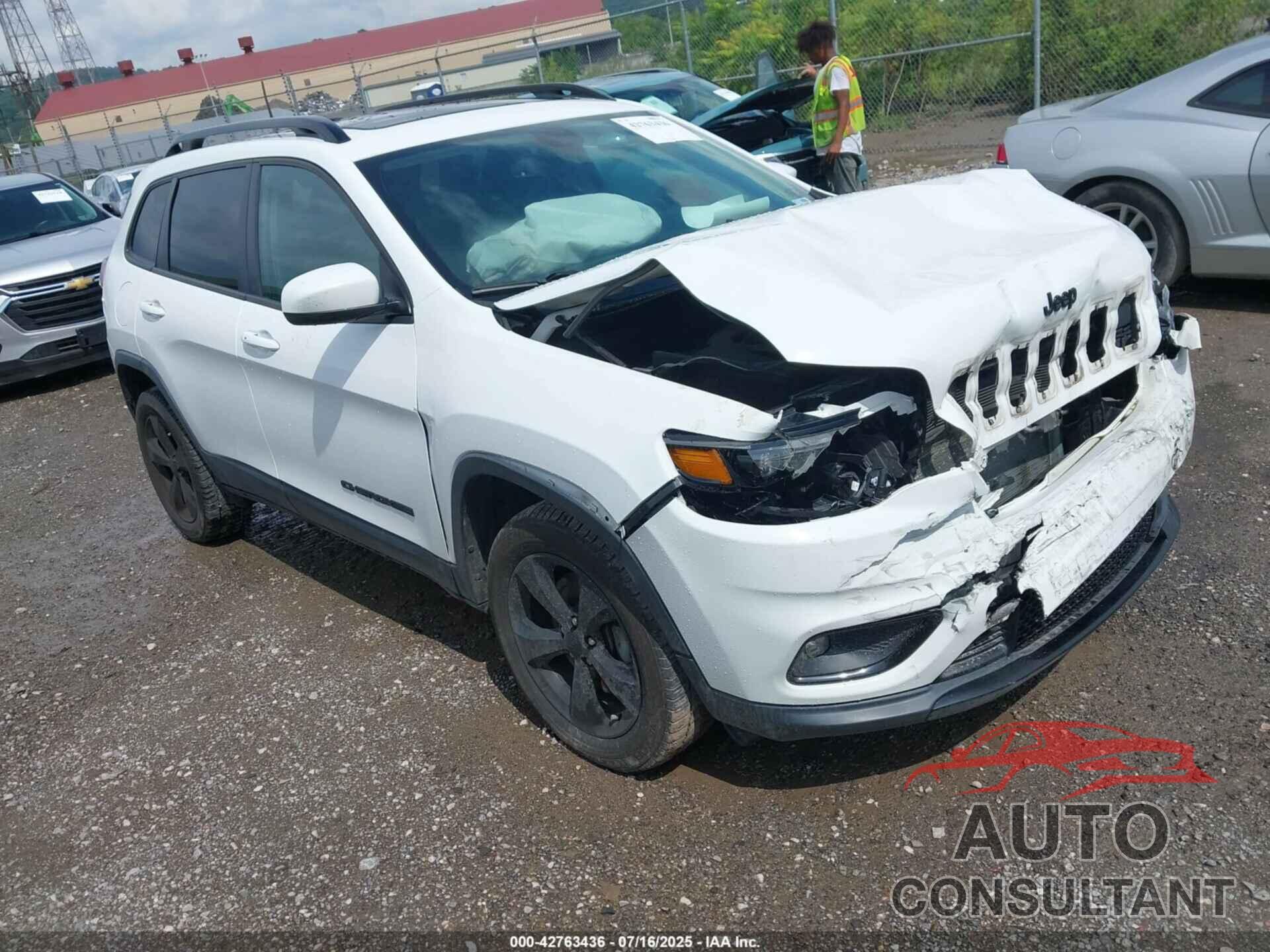 JEEP CHEROKEE 2019 - 1C4PJMLX3KD418494