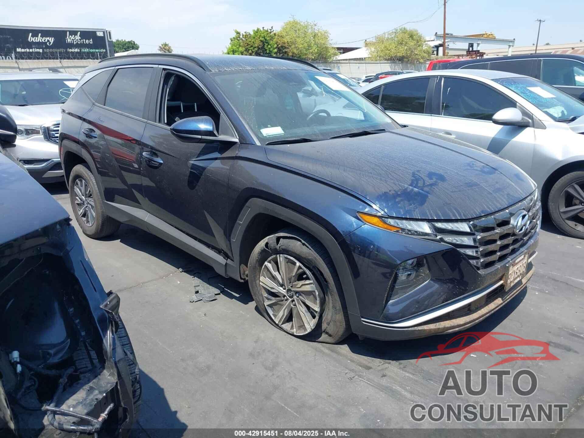 HYUNDAI TUCSON HYBRID 2024 - KM8JBCD10RU202728