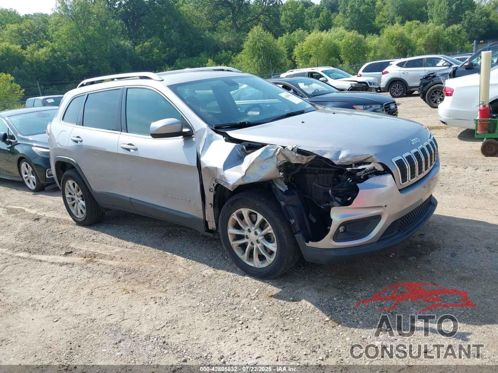 JEEP CHEROKEE 2019 - 1C4PJLCB2KD175582