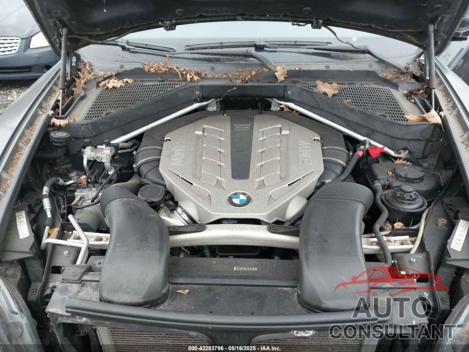 BMW X6 2009 - 5UXFG835X9LZ94128