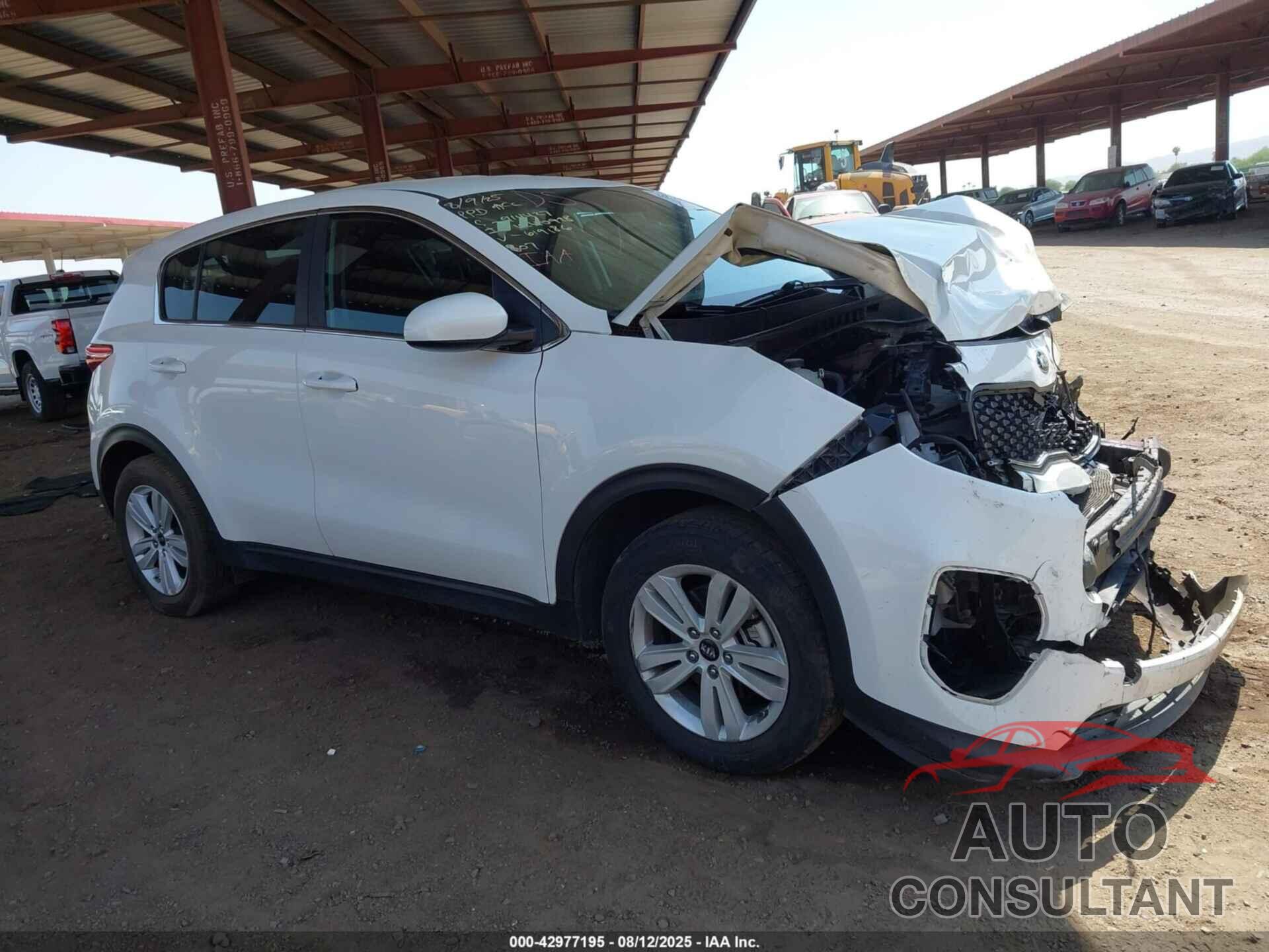 KIA SPORTAGE 2019 - KNDPM3AC0K7619186