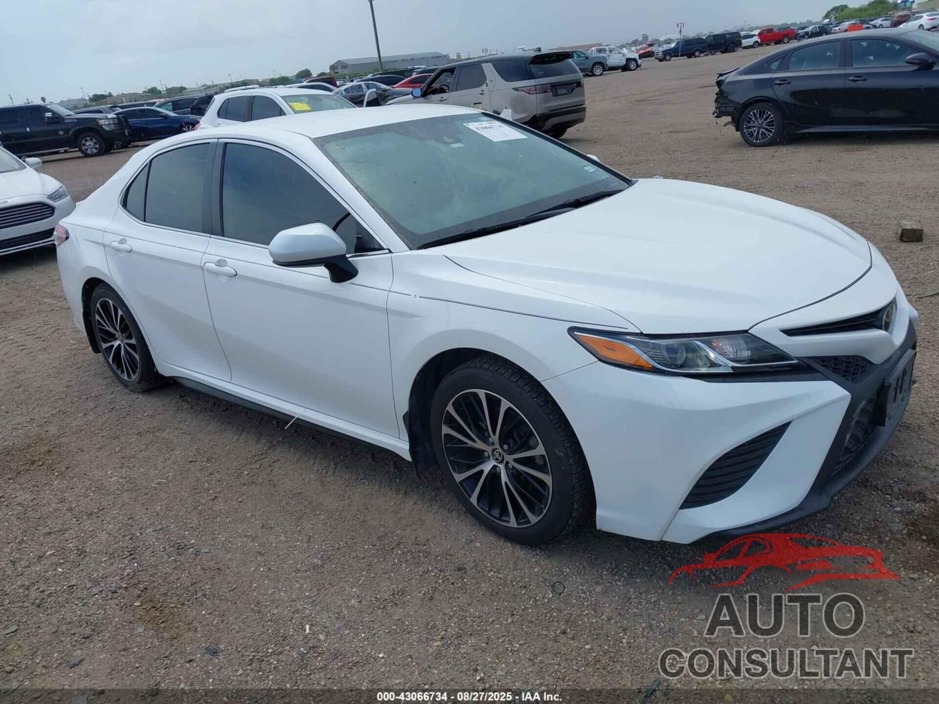 TOYOTA CAMRY 2020 - 4T1G11AKXLU384654