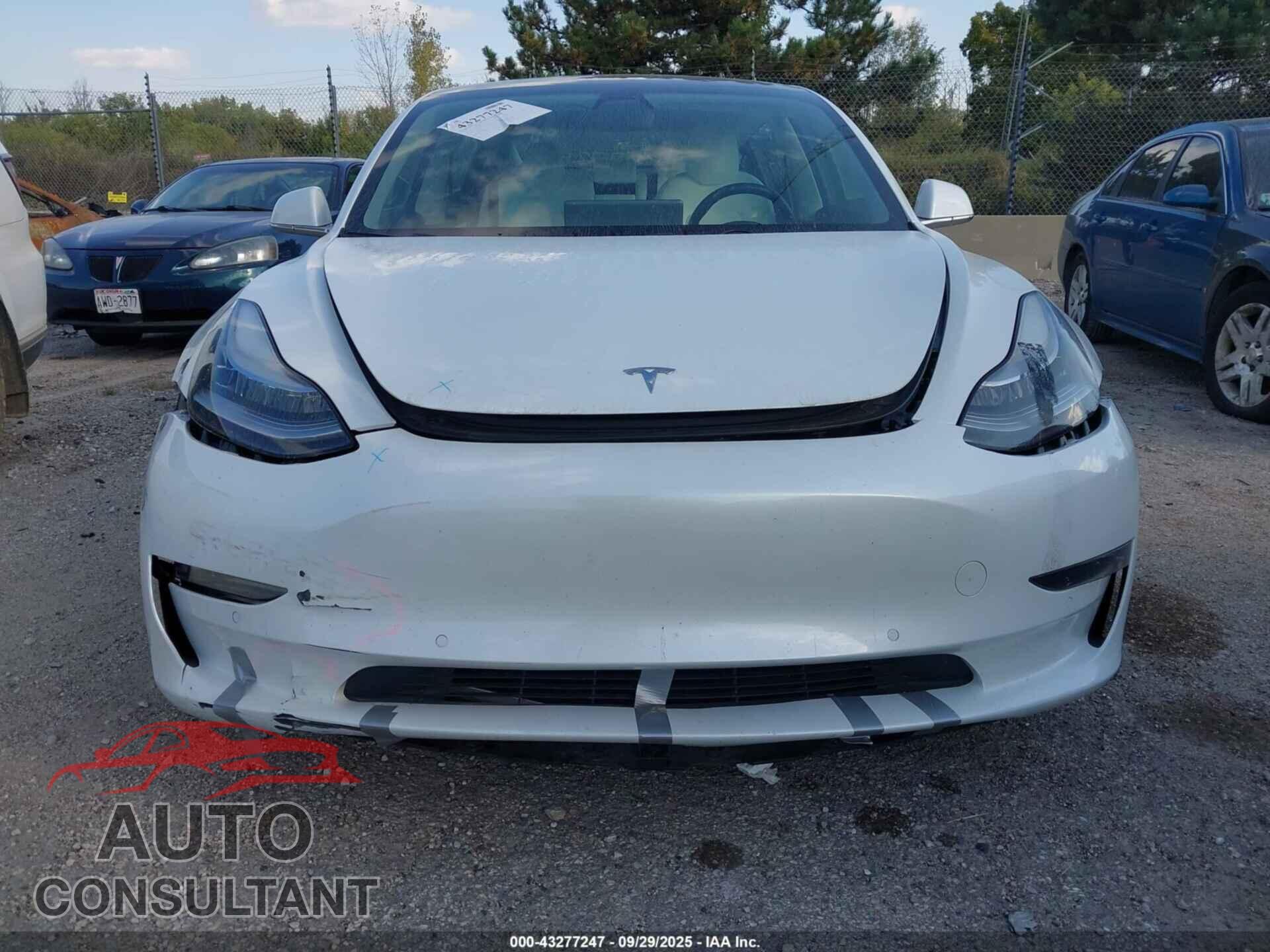 TESLA MODEL 3 2019 - 5YJ3E1EA3KF417932