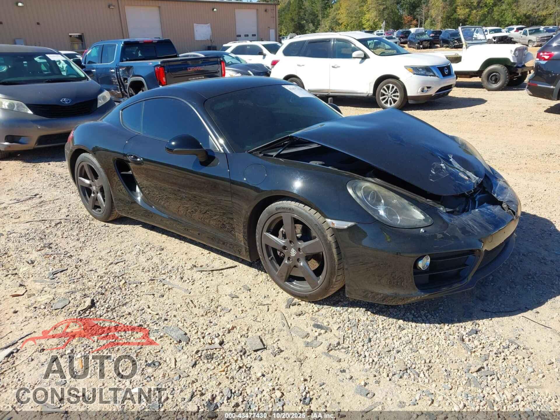 PORSCHE CAYMAN 2014 - WP0AA2A83EK172830