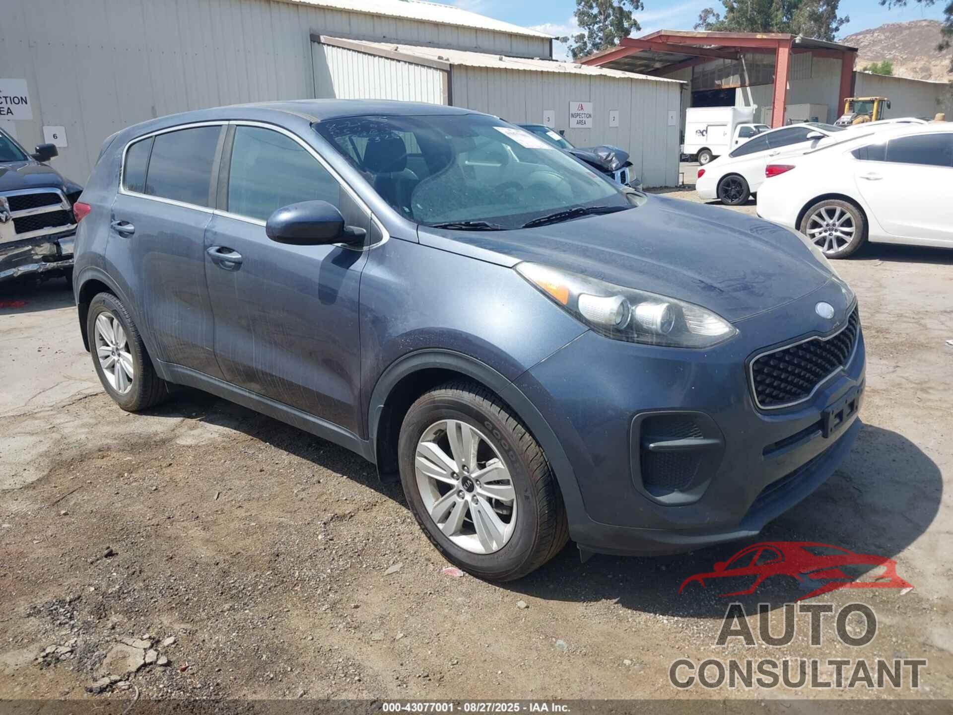 KIA SPORTAGE 2019 - KNDPM3AC6K7536328