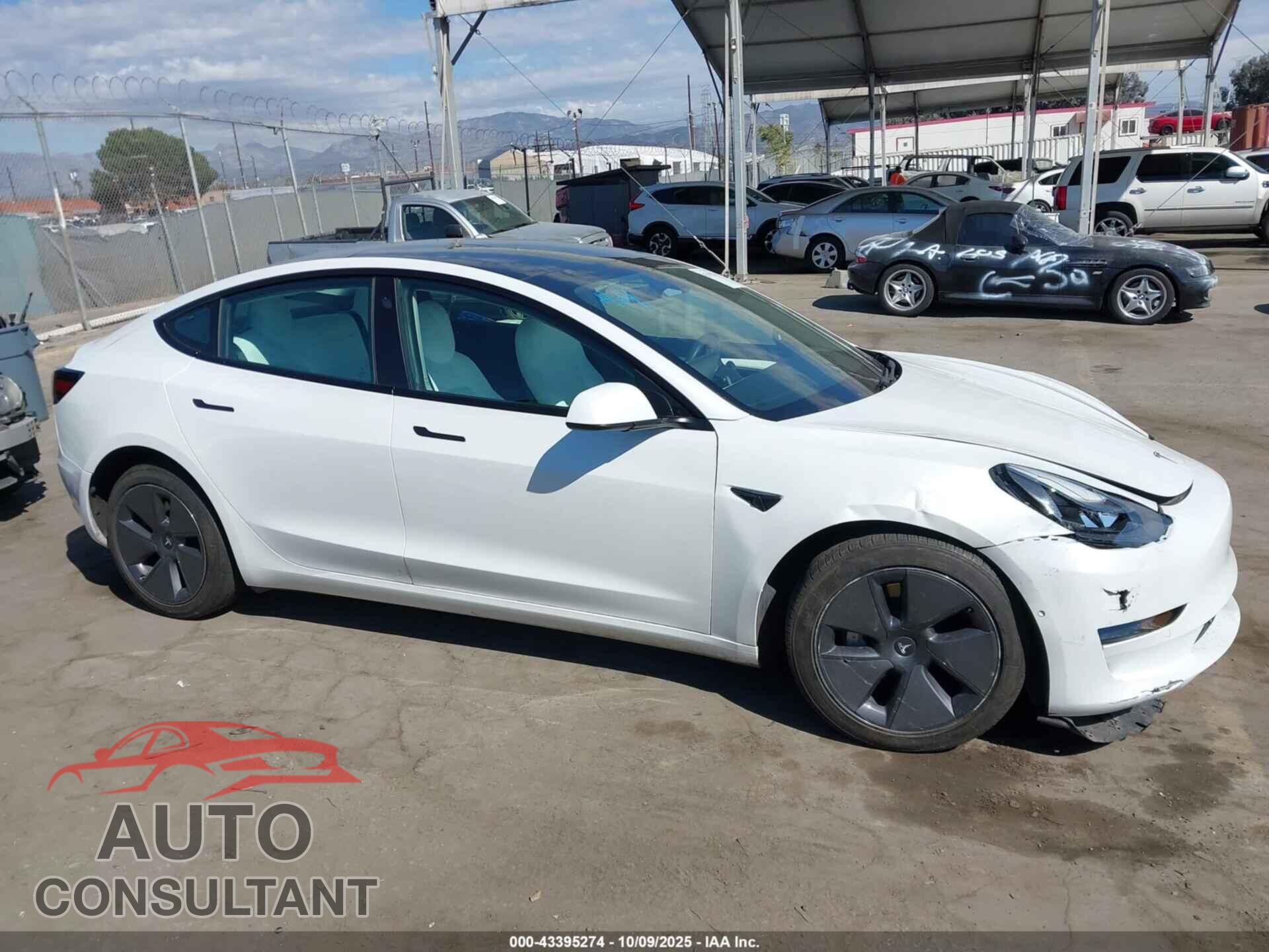 TESLA MODEL 3 2021 - 5YJ3E1EA6MF069661