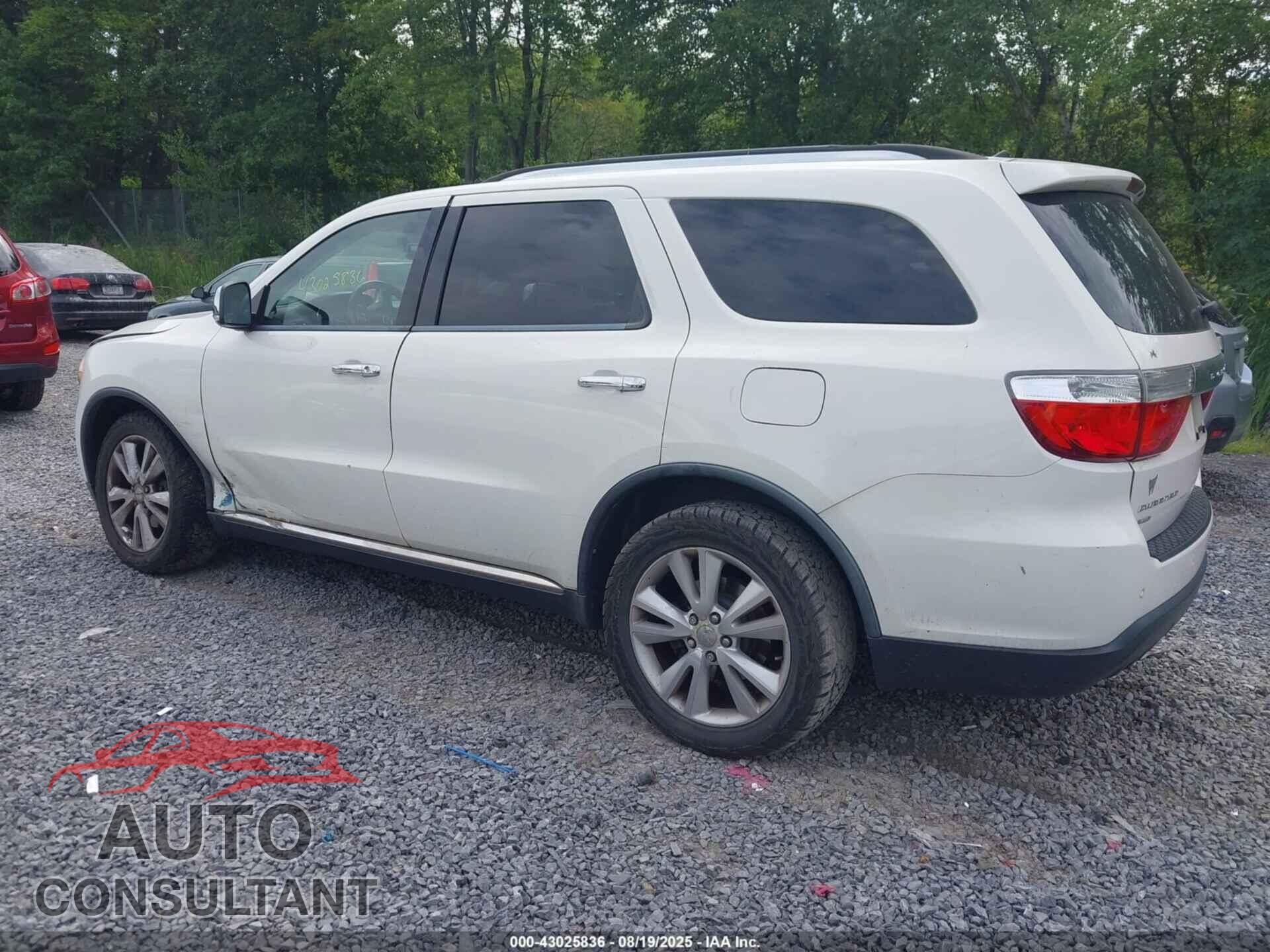 DODGE DURANGO 2011 - 1D4RE4GG4BC717265