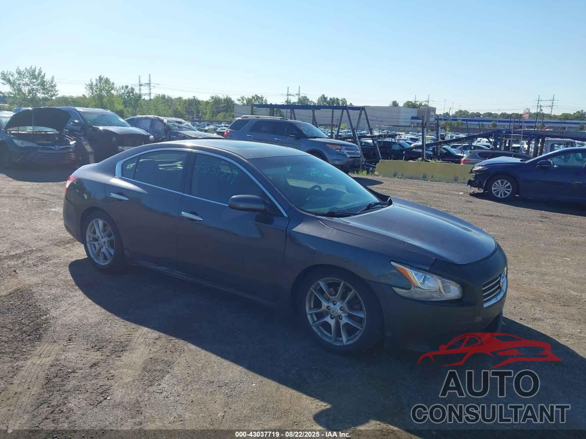 NISSAN MAXIMA 2009 - 1N4AA51E29C834815