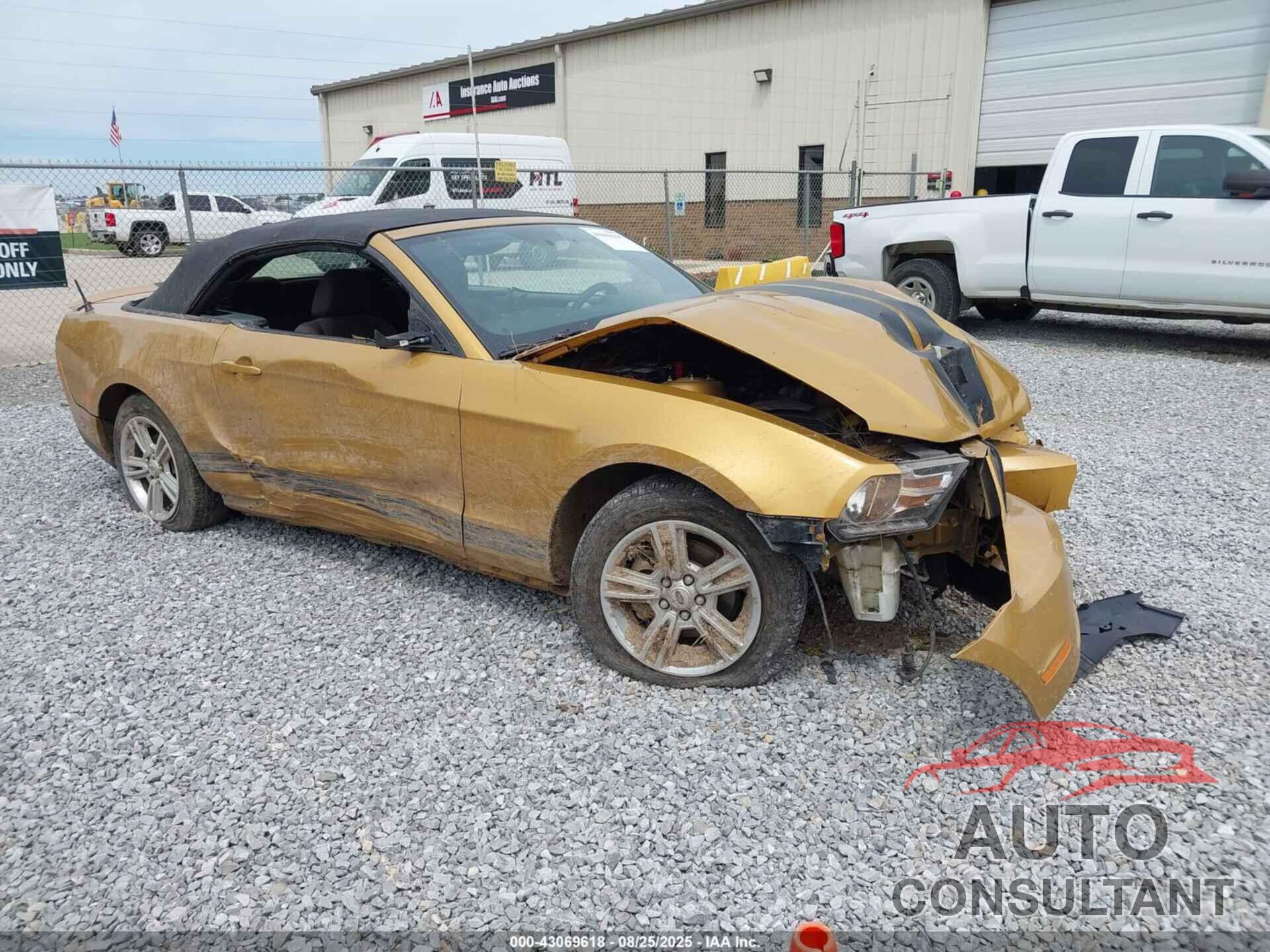 FORD MUSTANG 2010 - 1ZVBP8EN4A5171620