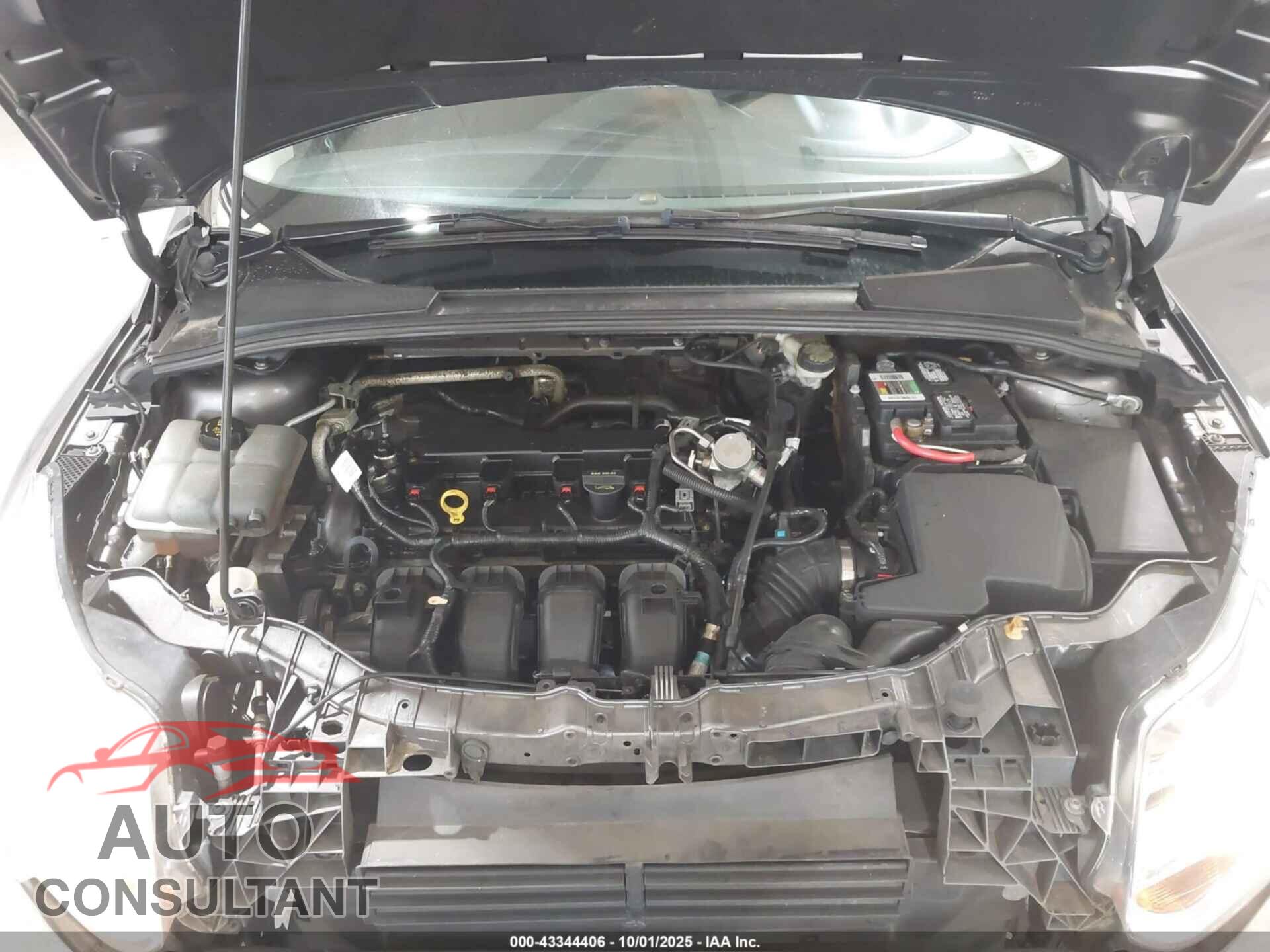 FORD FOCUS 2014 - 1FADP3K23EL145784