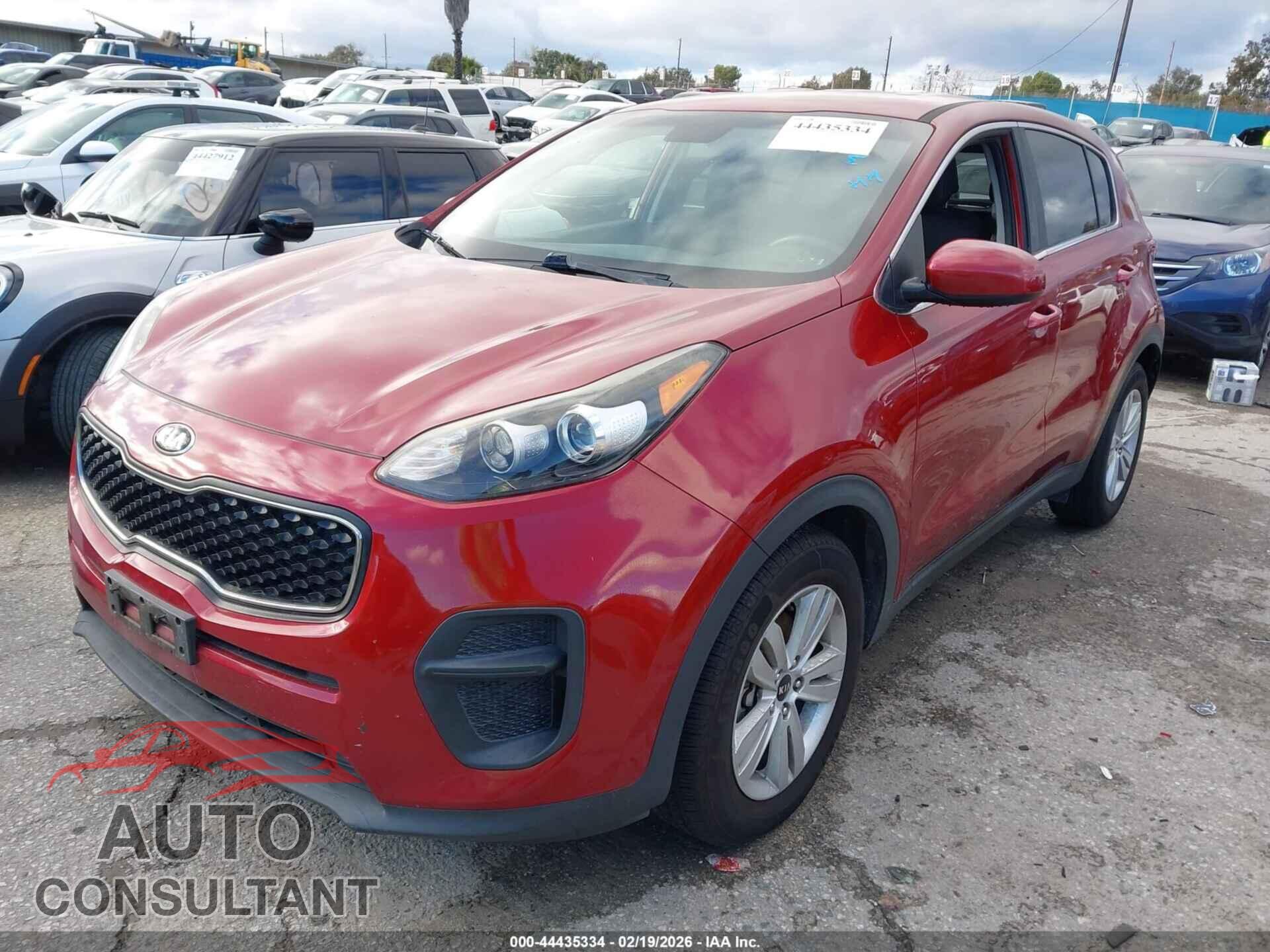 KIA SPORTAGE 2017 - KNDPM3AC3H7227022