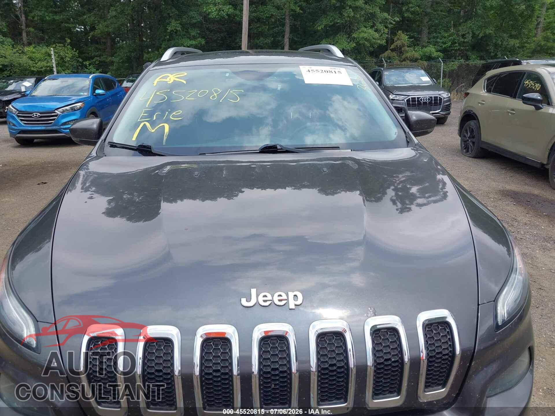 JEEP CHEROKEE 2014 - 1C4PJMDS2EW211316