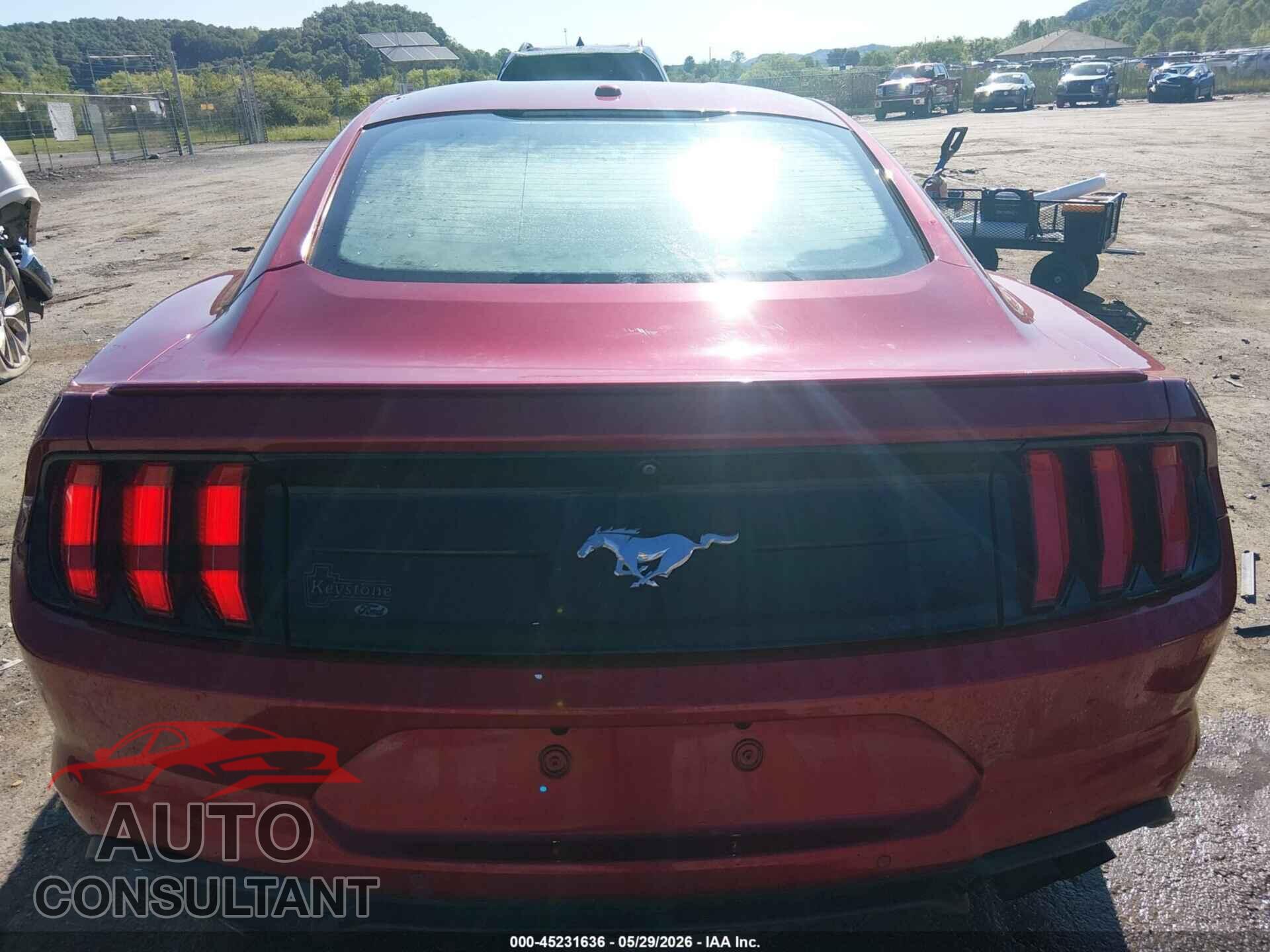 FORD MUSTANG 2020 - 1FA6P8TH5L5126809