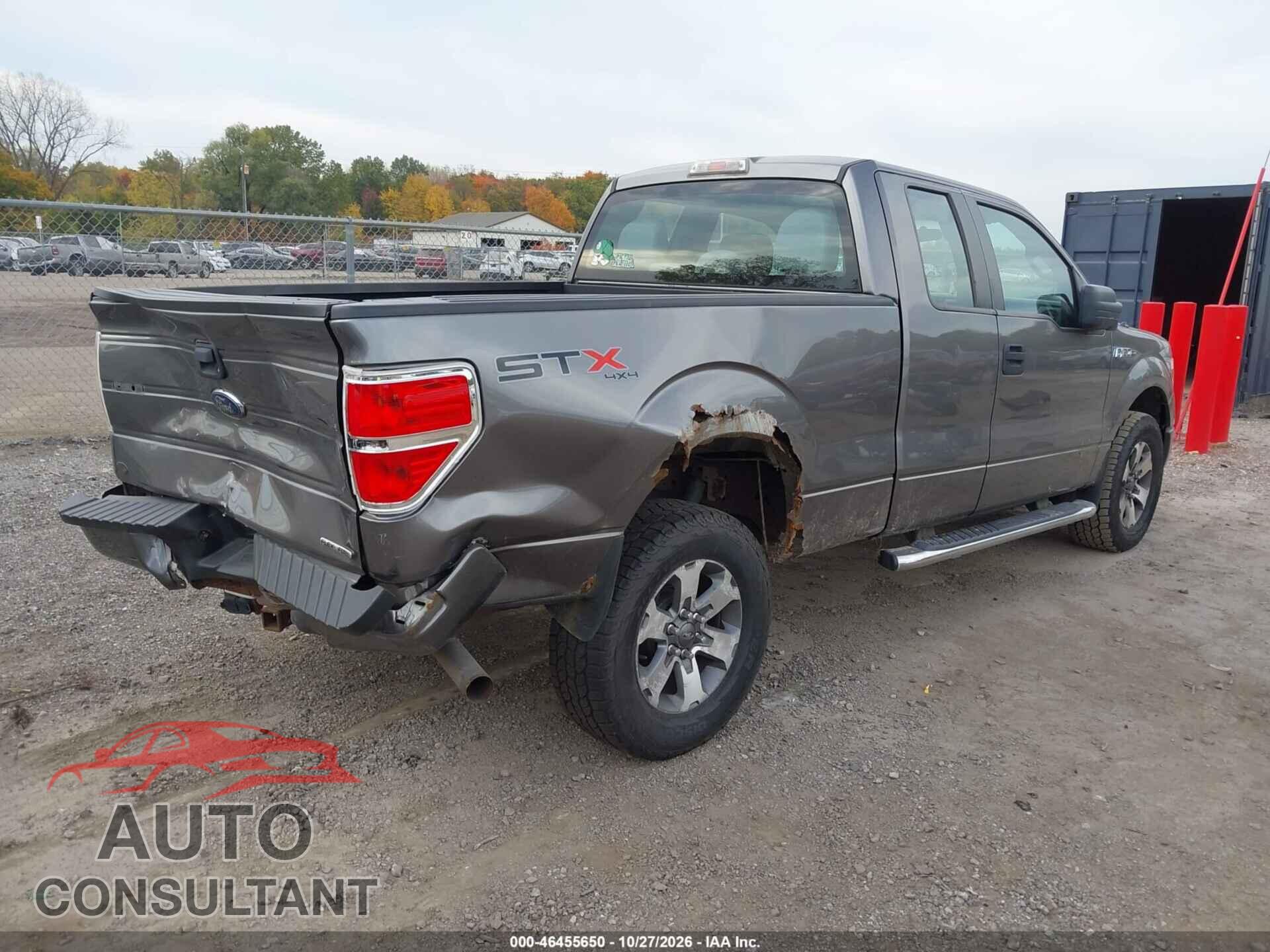 FORD F-150 2013 - 1FTFX1EF6DFA18398