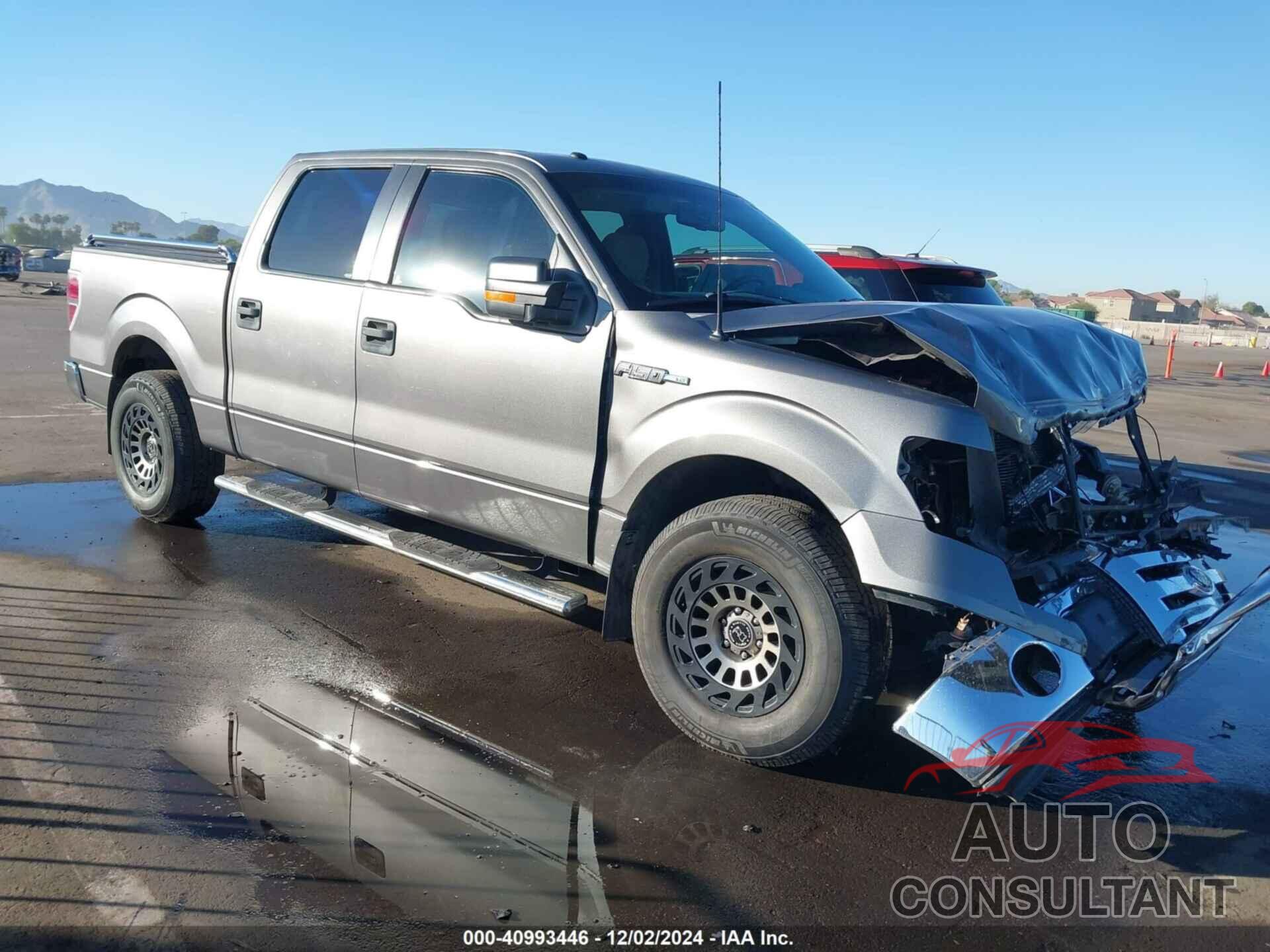 FORD F-150 2010 - 1FTEW1C83AFD03848