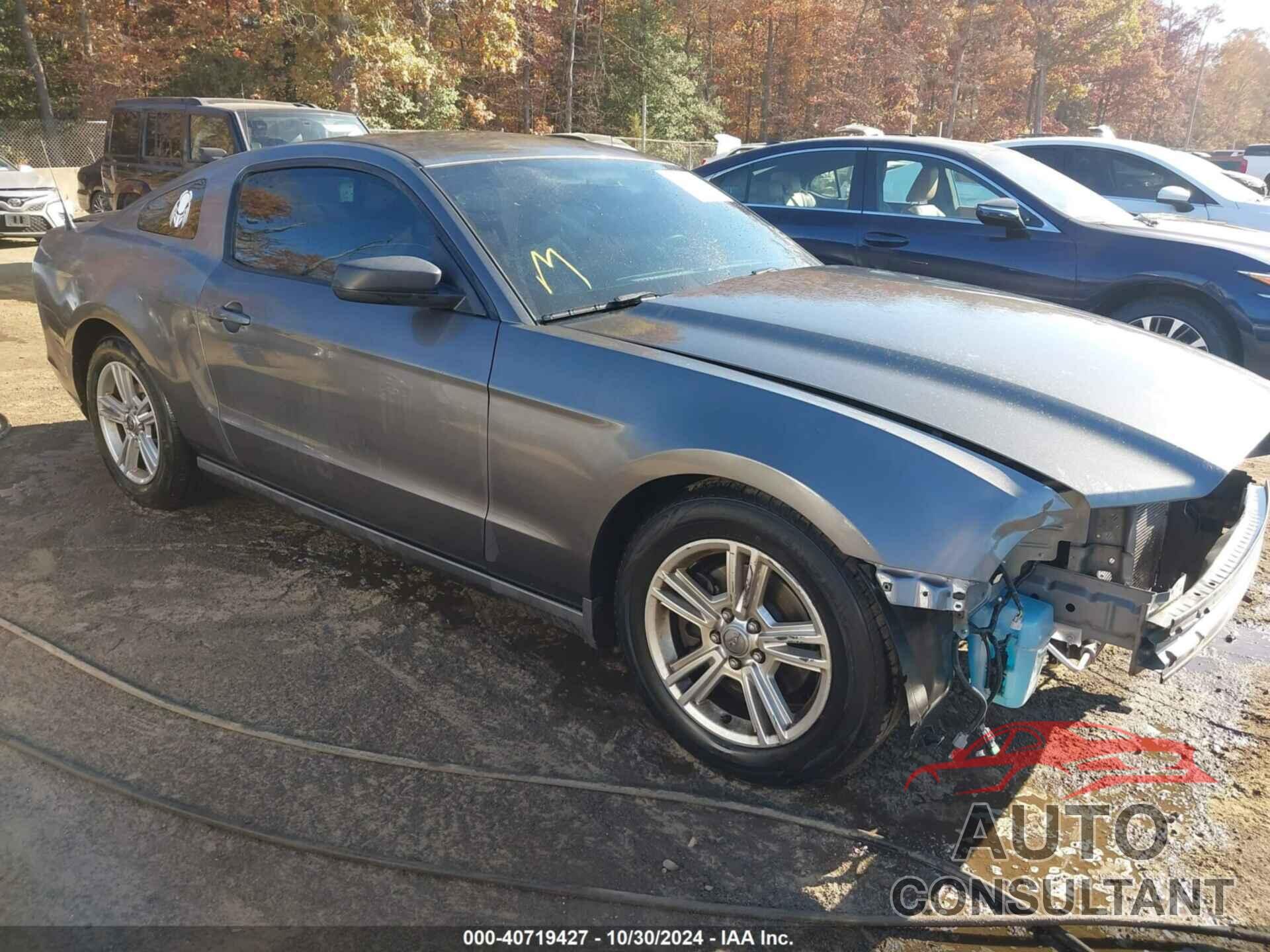 FORD MUSTANG 2014 - 1ZVBP8AM8E5329833